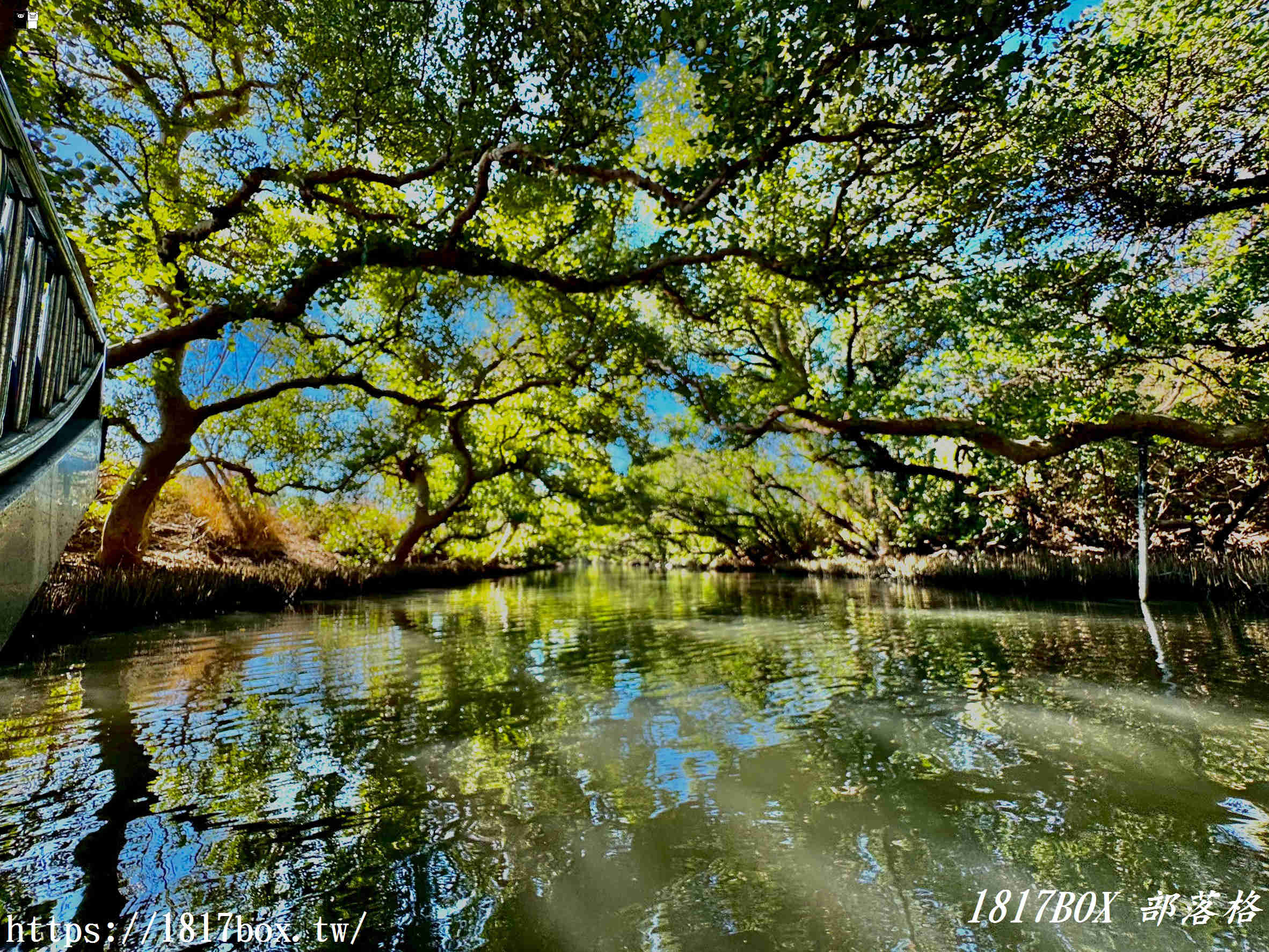 台南四草綠色隧道:台版亞馬遜秘境,預約、票價、船班全攻略 台南四草綠色隧道:台版亞馬遜秘境,預約、票價、船班全攻略