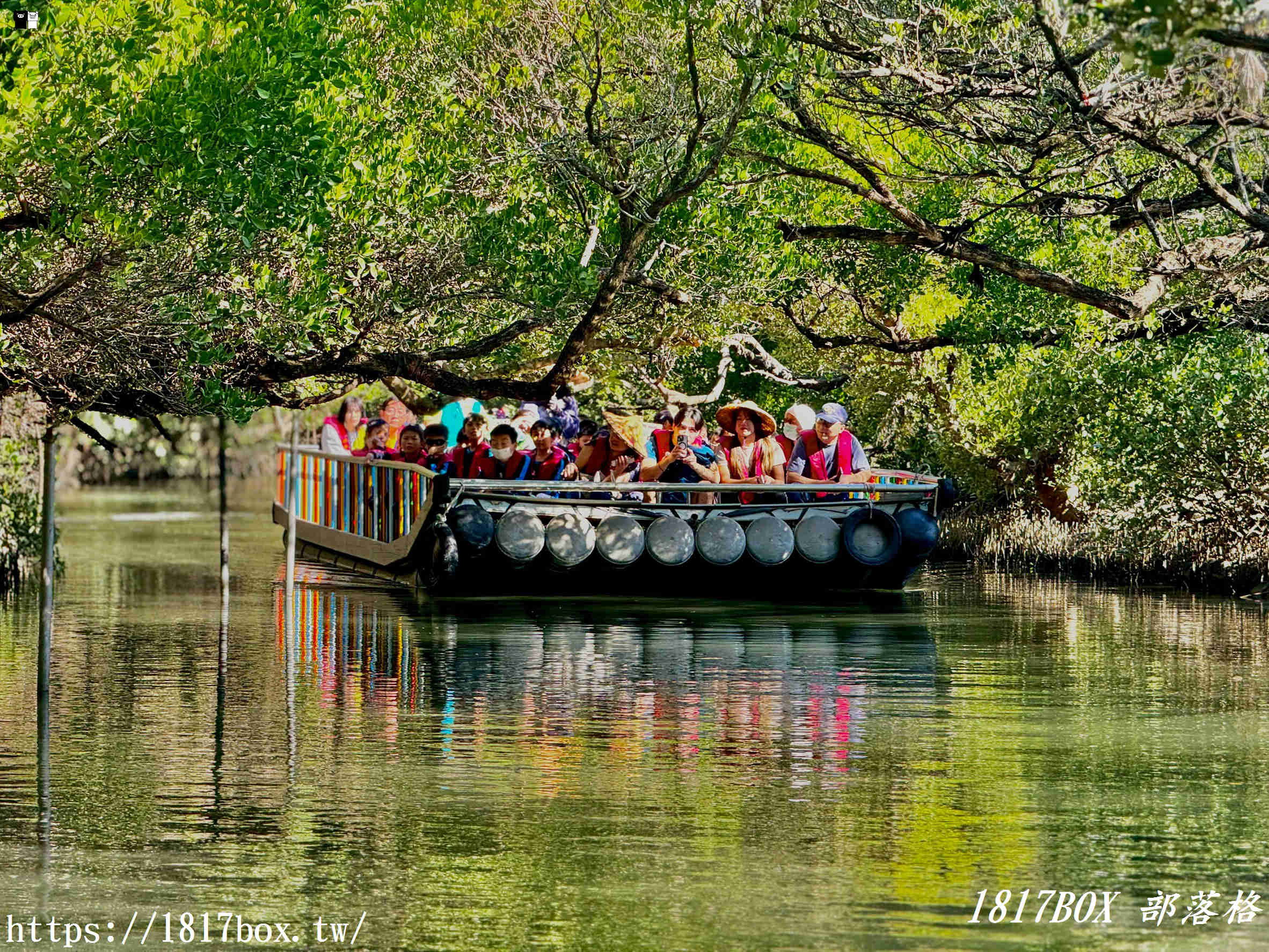 台南四草綠色隧道：台版亞馬遜秘境，預約、票價、船班全攻略