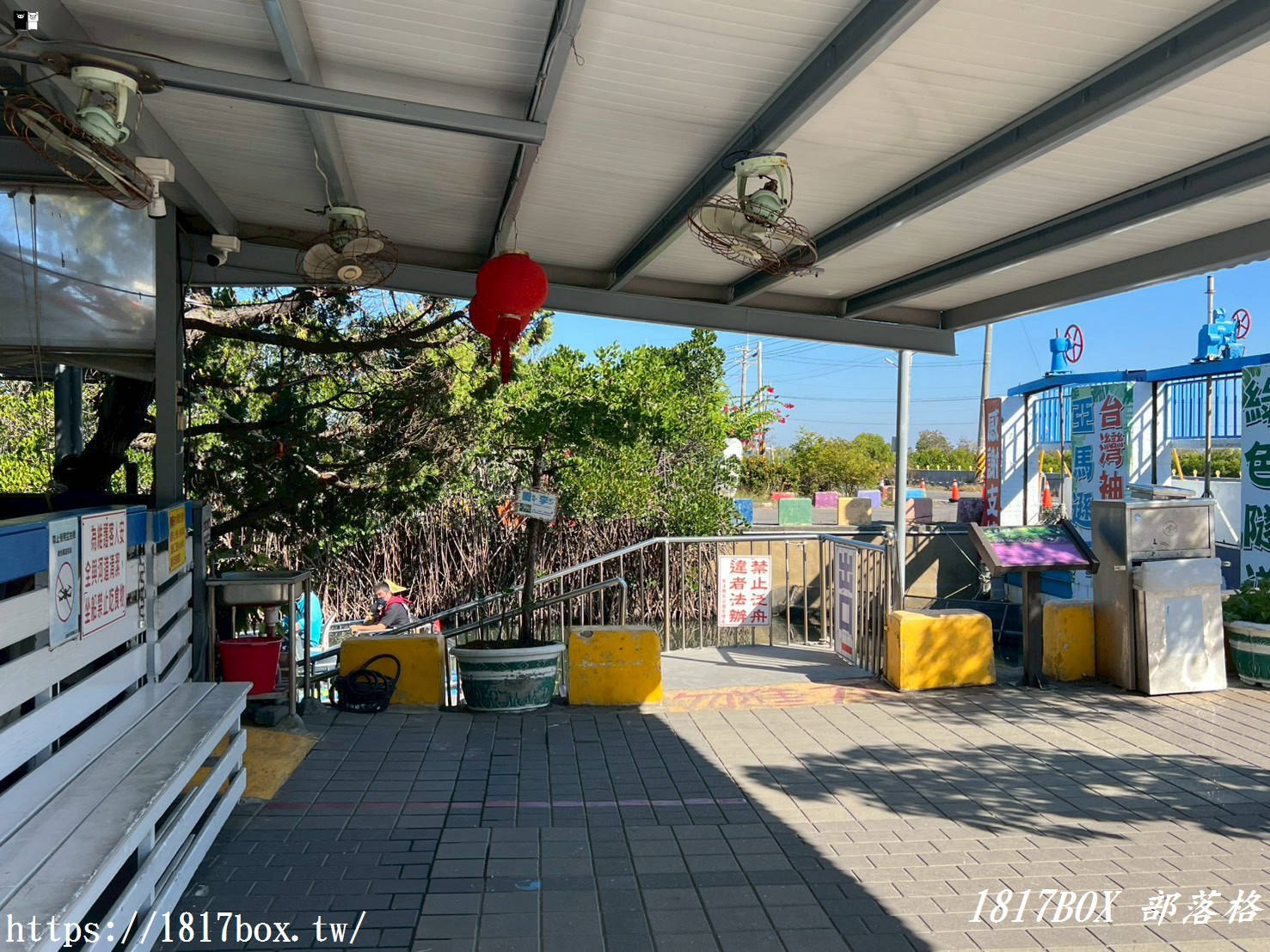 台南四草綠色隧道:台版亞馬遜秘境,預約、票價、船班全攻略 台南四草綠色隧道:台版亞馬遜秘境,預約、票價、船班全攻略