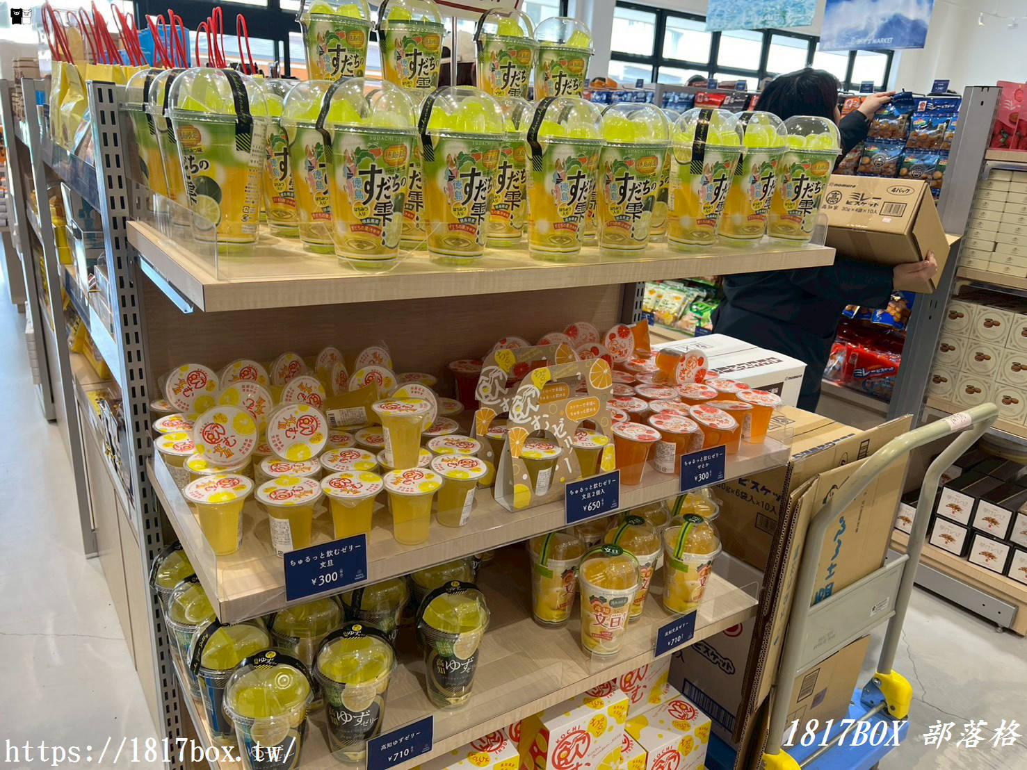 【高知桂濱地標】桂浜 海のテラス：絕景咖啡、日式甜點與伴手禮一次滿足！