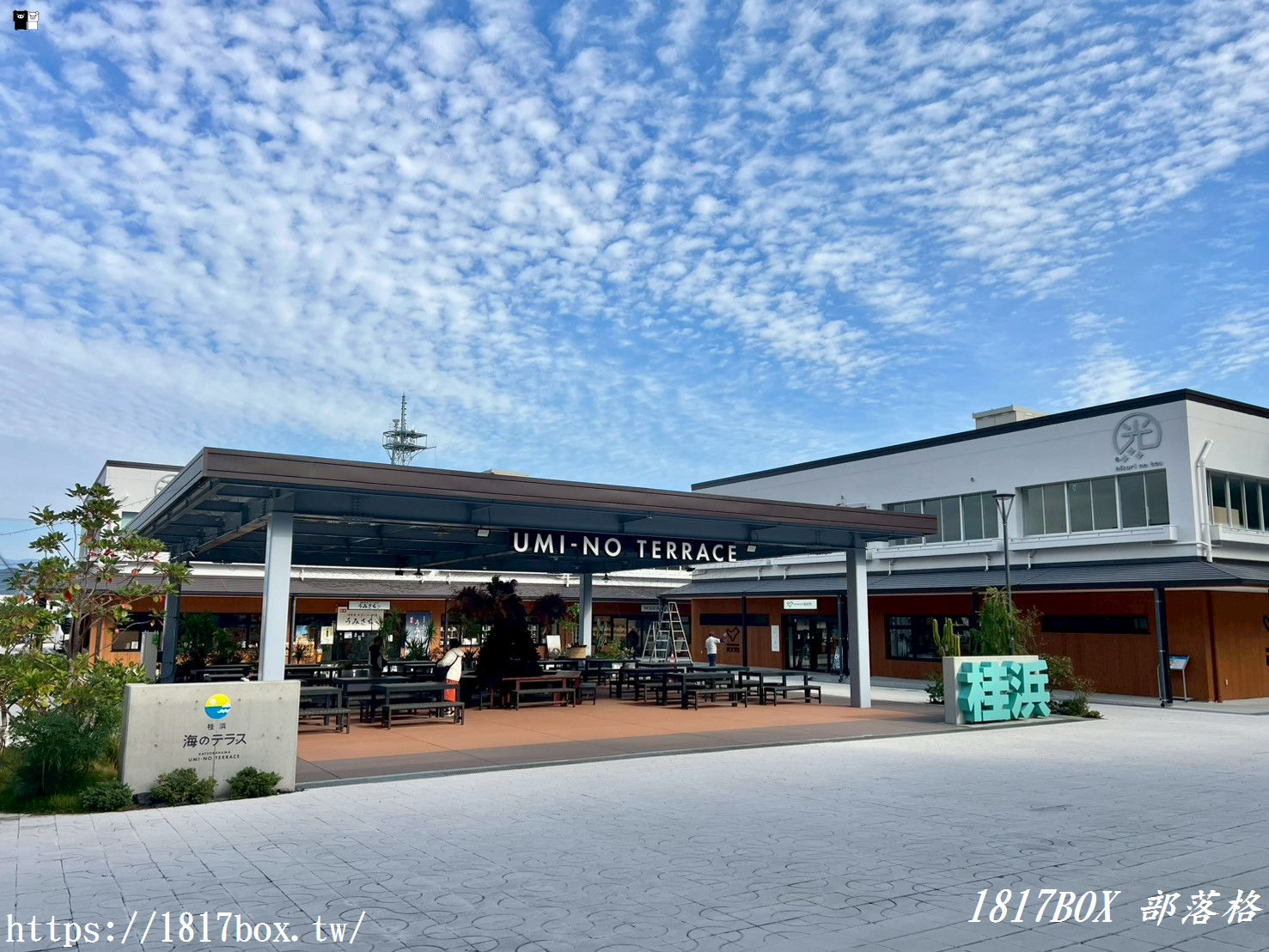 【高知桂濱地標】桂浜 海のテラス：絕景咖啡、日式甜點與伴手禮一次滿足！