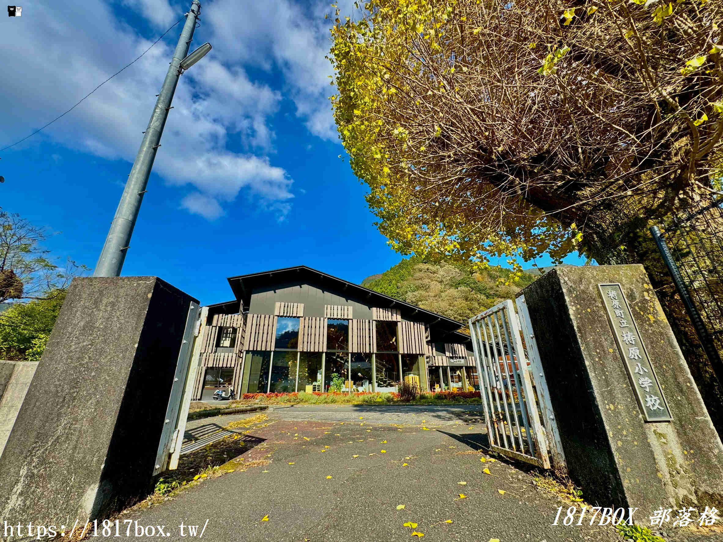 雲之上，一場與木香的書本漫遊：高知「雲之上圖書館」探訪記