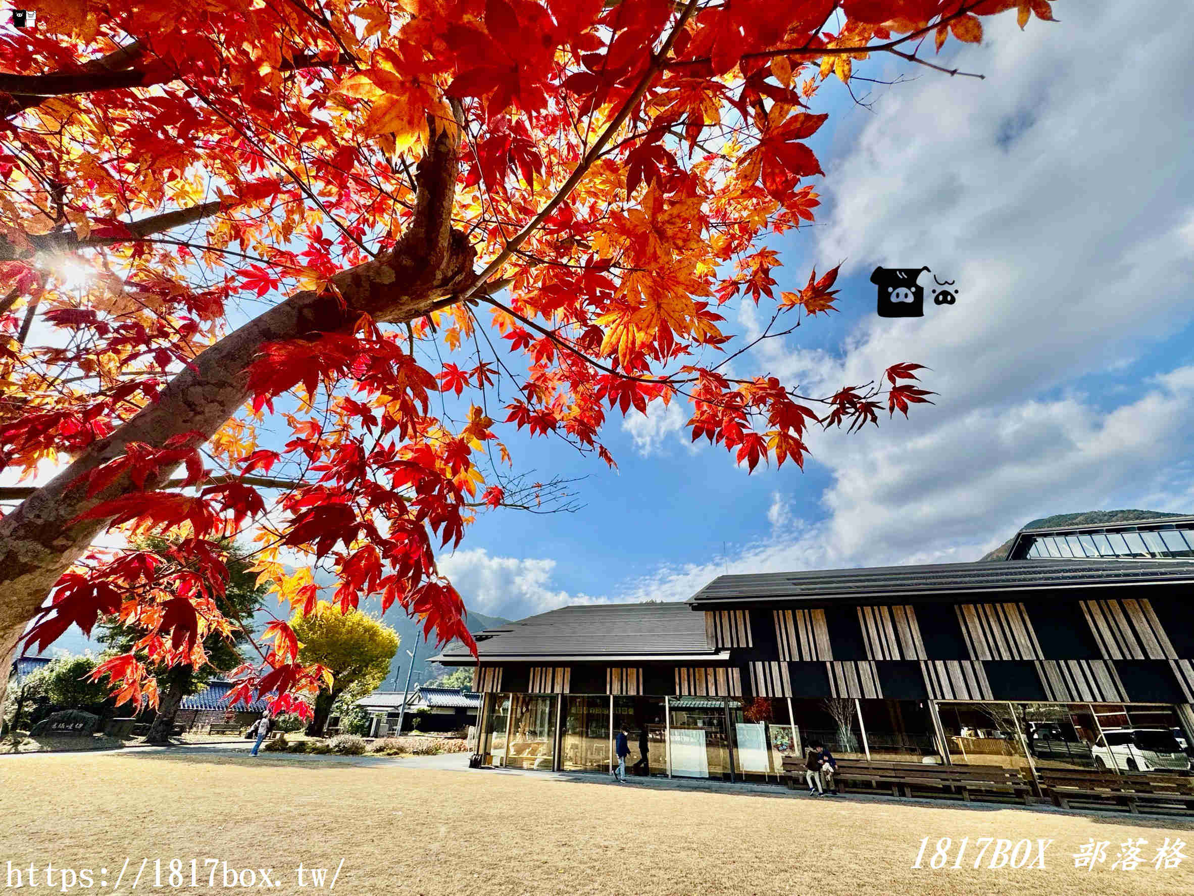 雲之上，一場與木香的書本漫遊：高知「雲之上圖書館」探訪記