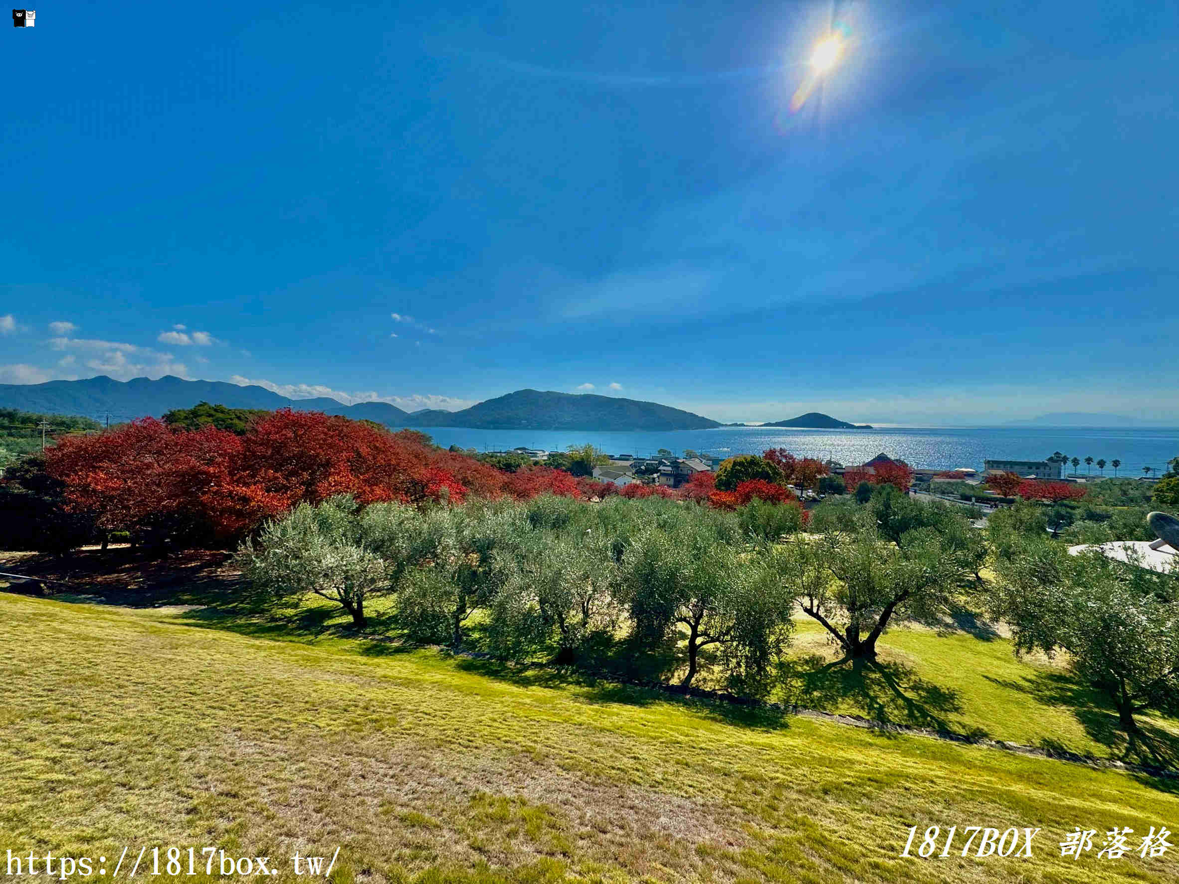 小豆島橄欖公園:一秒穿越魔女宅急便的夢幻國度 小豆島橄欖公園:一秒穿越魔女宅急便的夢幻國度