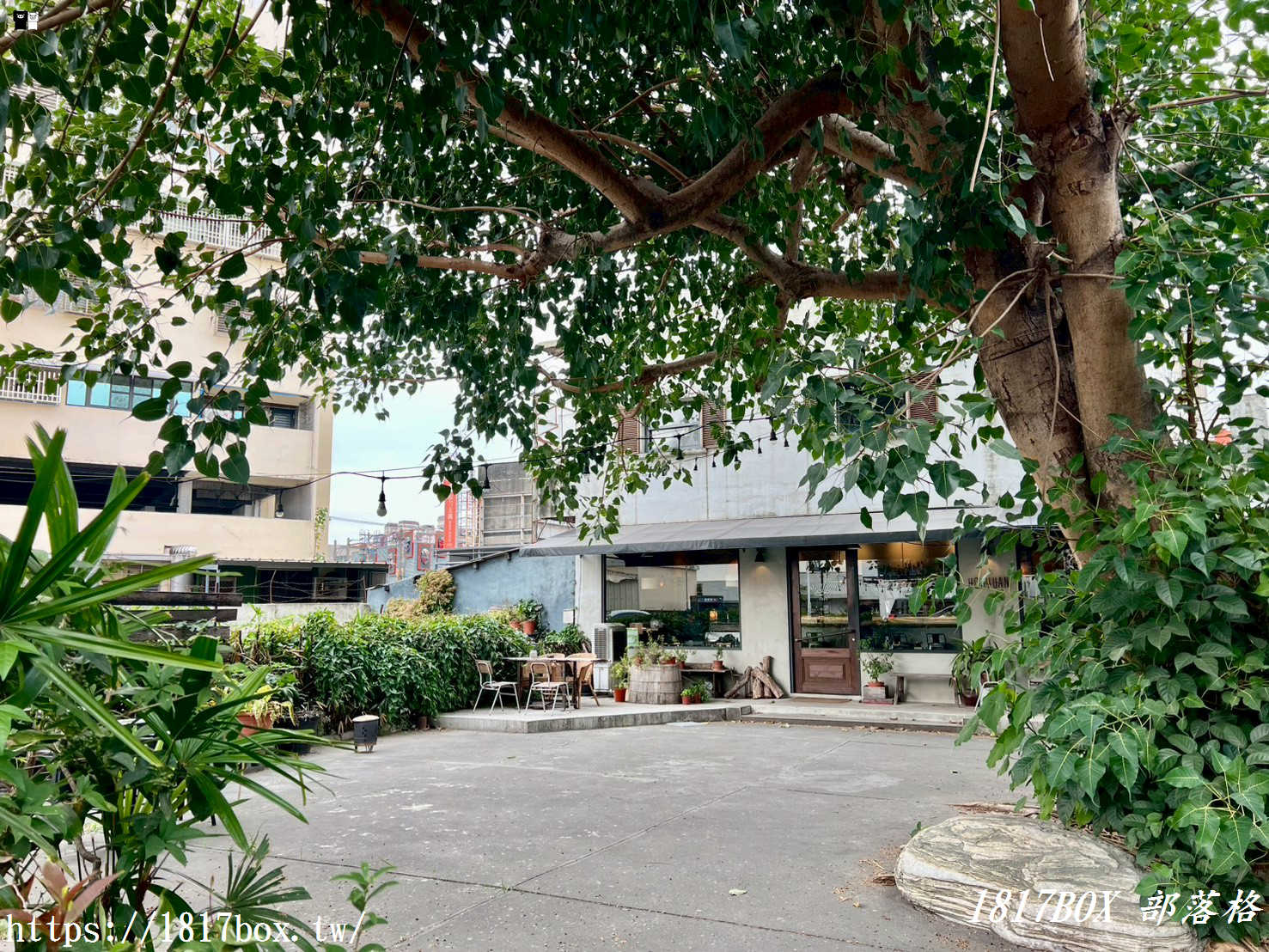 藏在虎尾巷弄裡的「後院houyuan」：一秒穿越時光，享受老屋裡的寧靜與甜點香氣