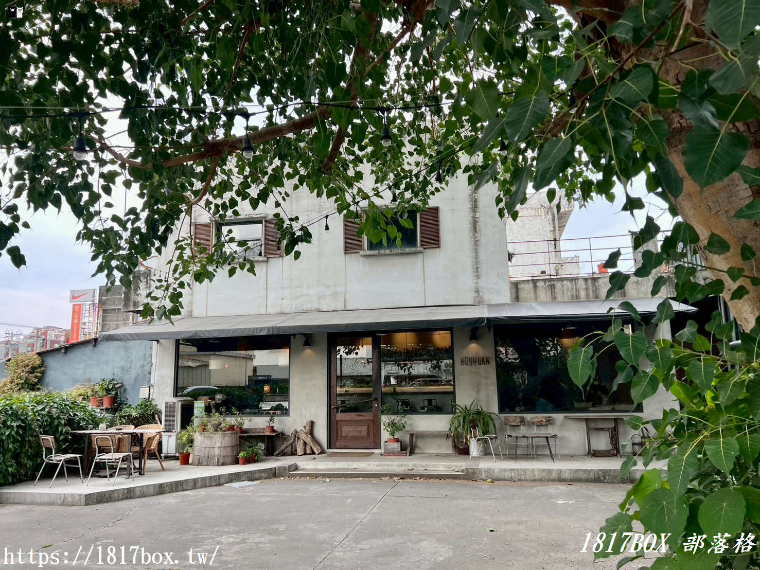 藏在虎尾巷弄裡的「後院houyuan」：一秒穿越時光，享受老屋裡的寧靜與甜點香氣