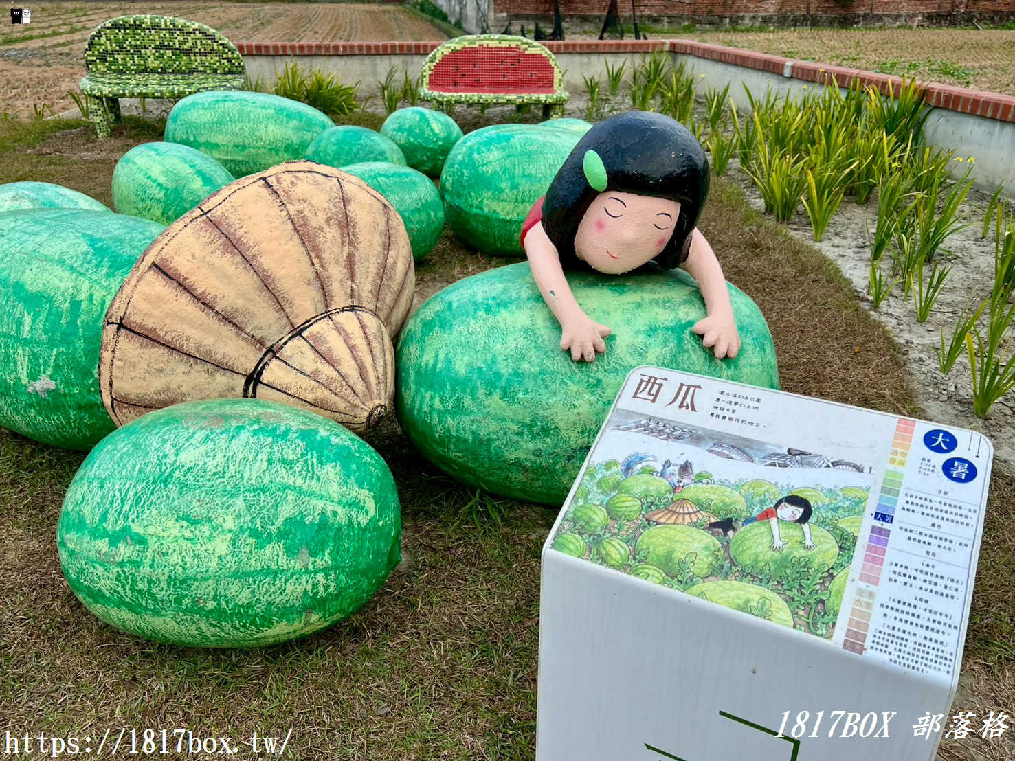 【雲林西螺景點】埤頭繪本公園：走進童話般的農村世界