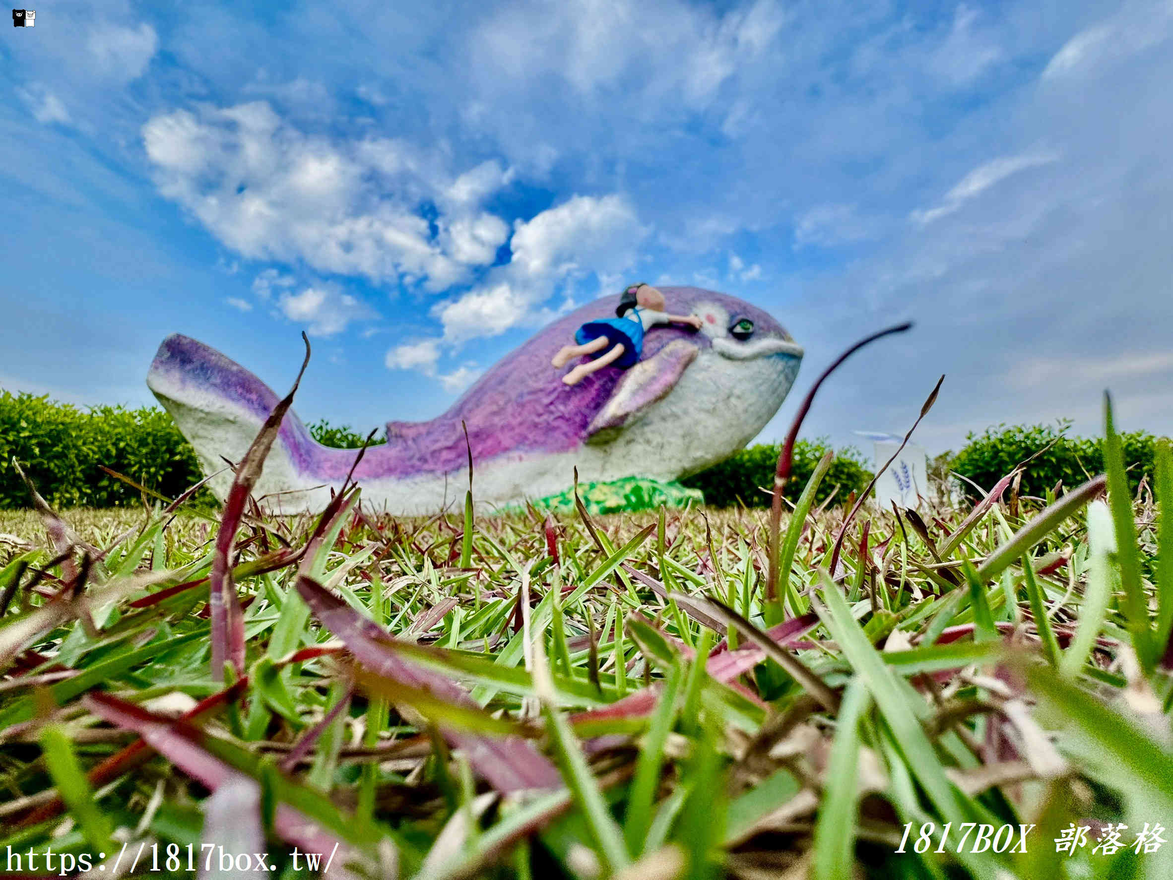 【雲林西螺景點】埤頭繪本公園：走進童話般的農村世界