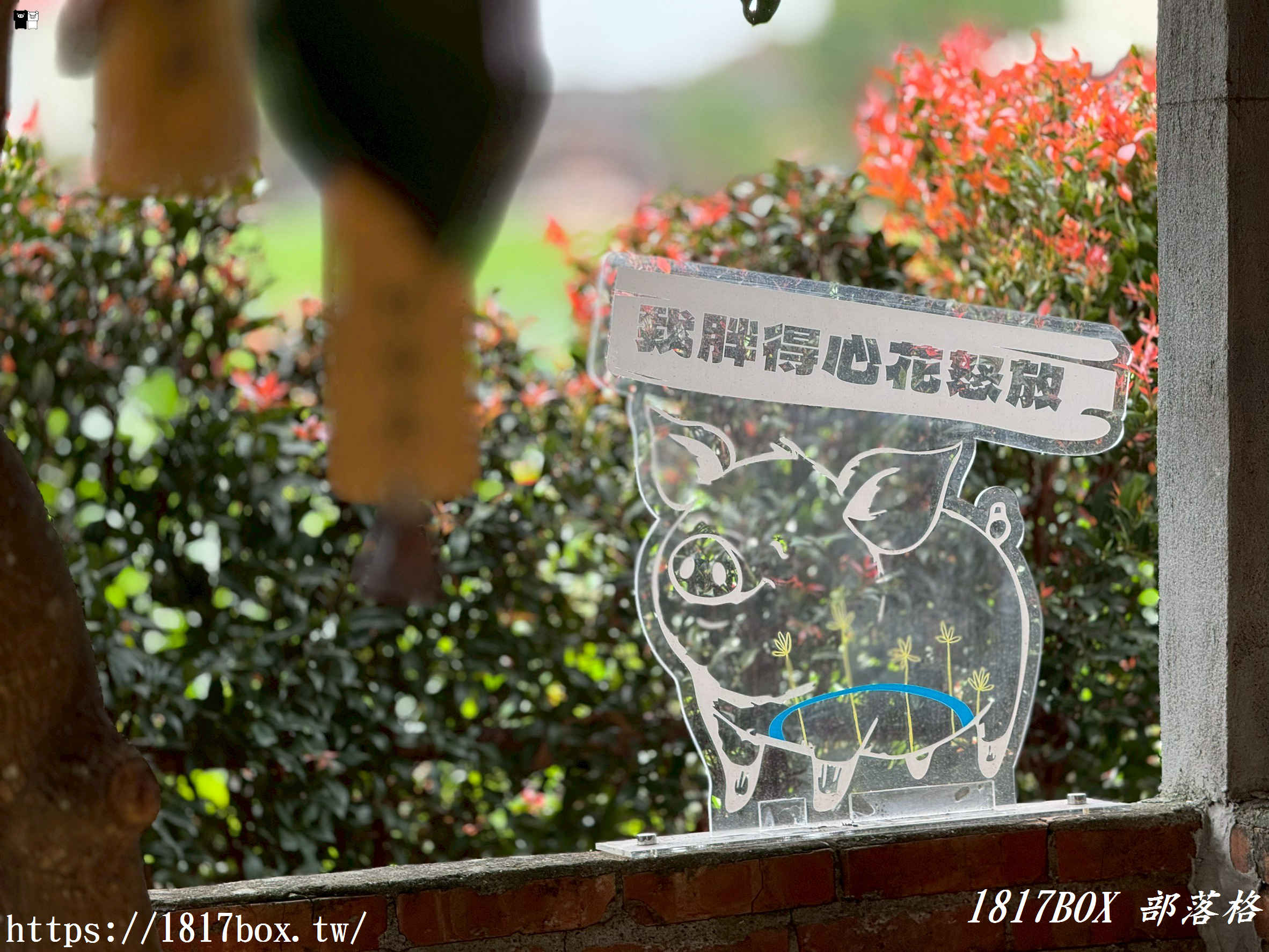 虎珍堂森之院：老屋新生，雲林虎尾的慢活角落