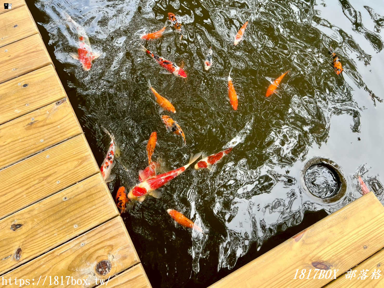 虎珍堂森之院：老屋新生，雲林虎尾的慢活角落