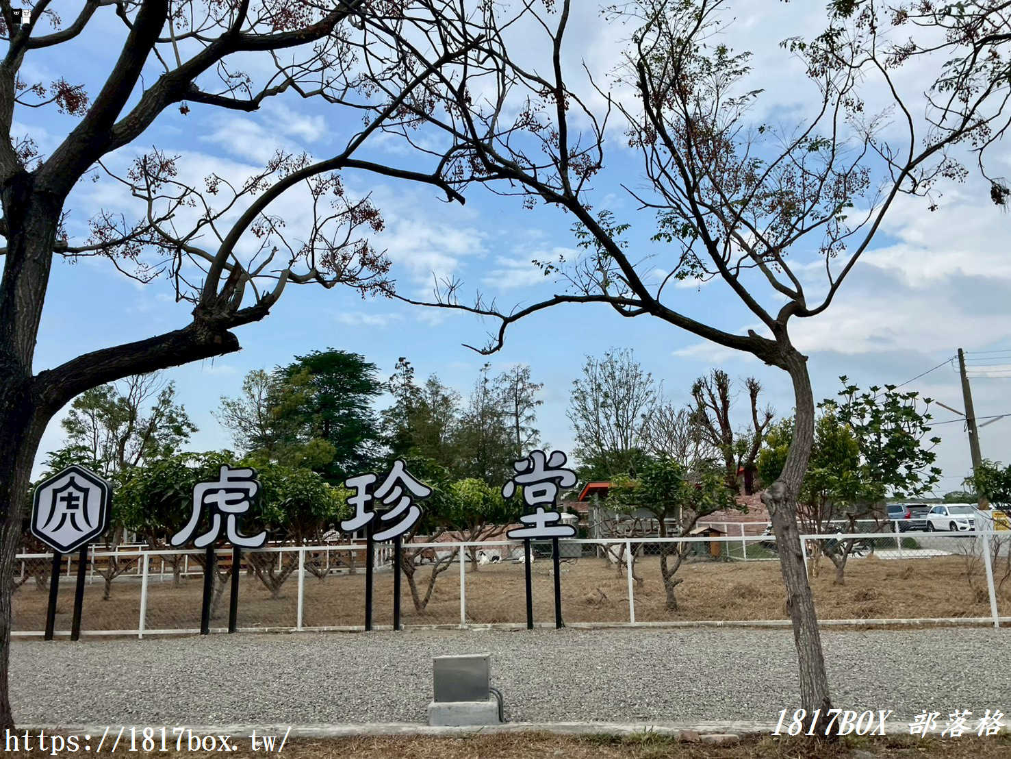 虎珍堂森之院：老屋新生，雲林虎尾的慢活角落