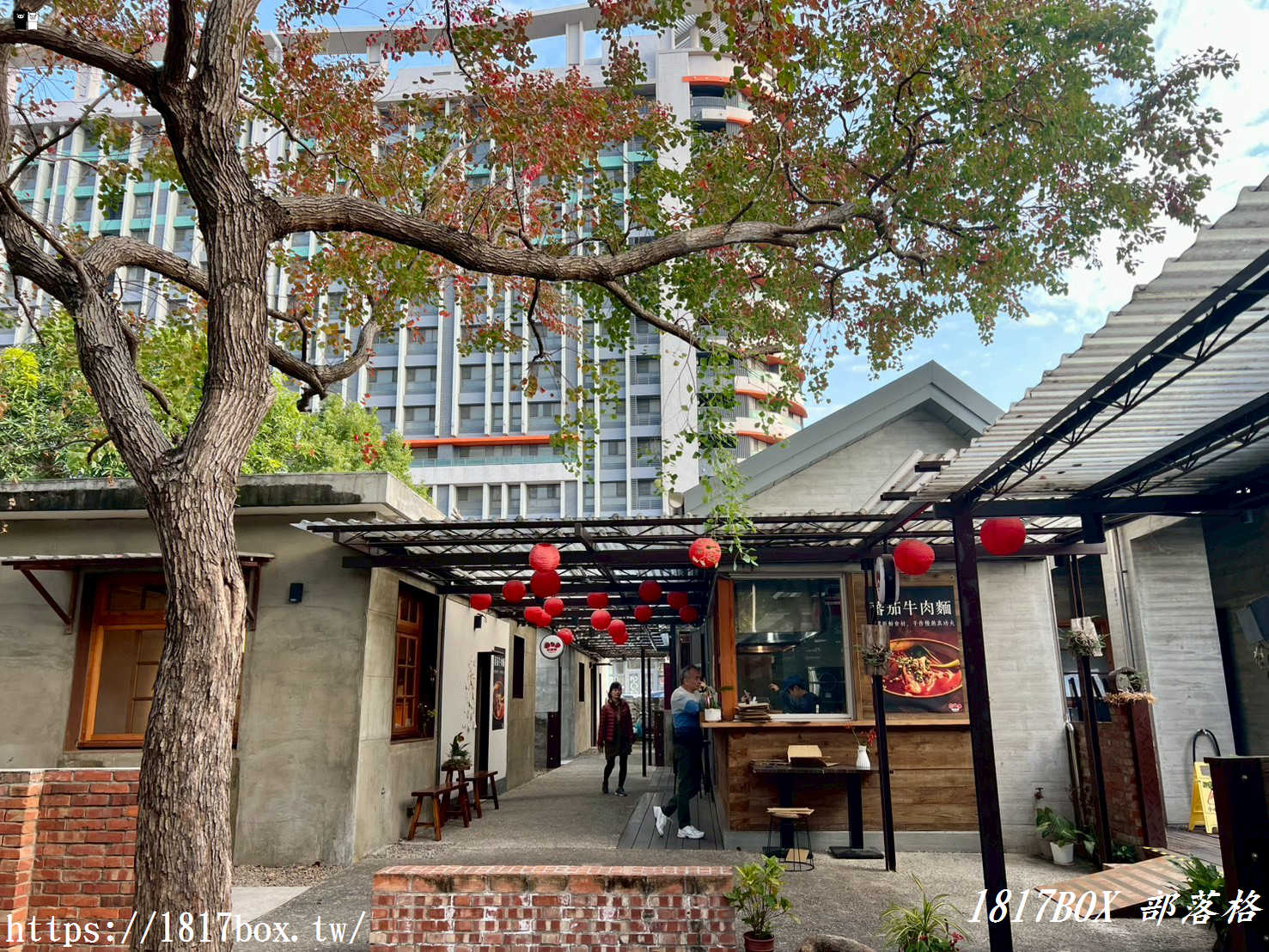 【新竹景點】將軍村：老將軍的眷村華麗轉身！文青必訪的大地圖書館、森林系市集與歷史漫步