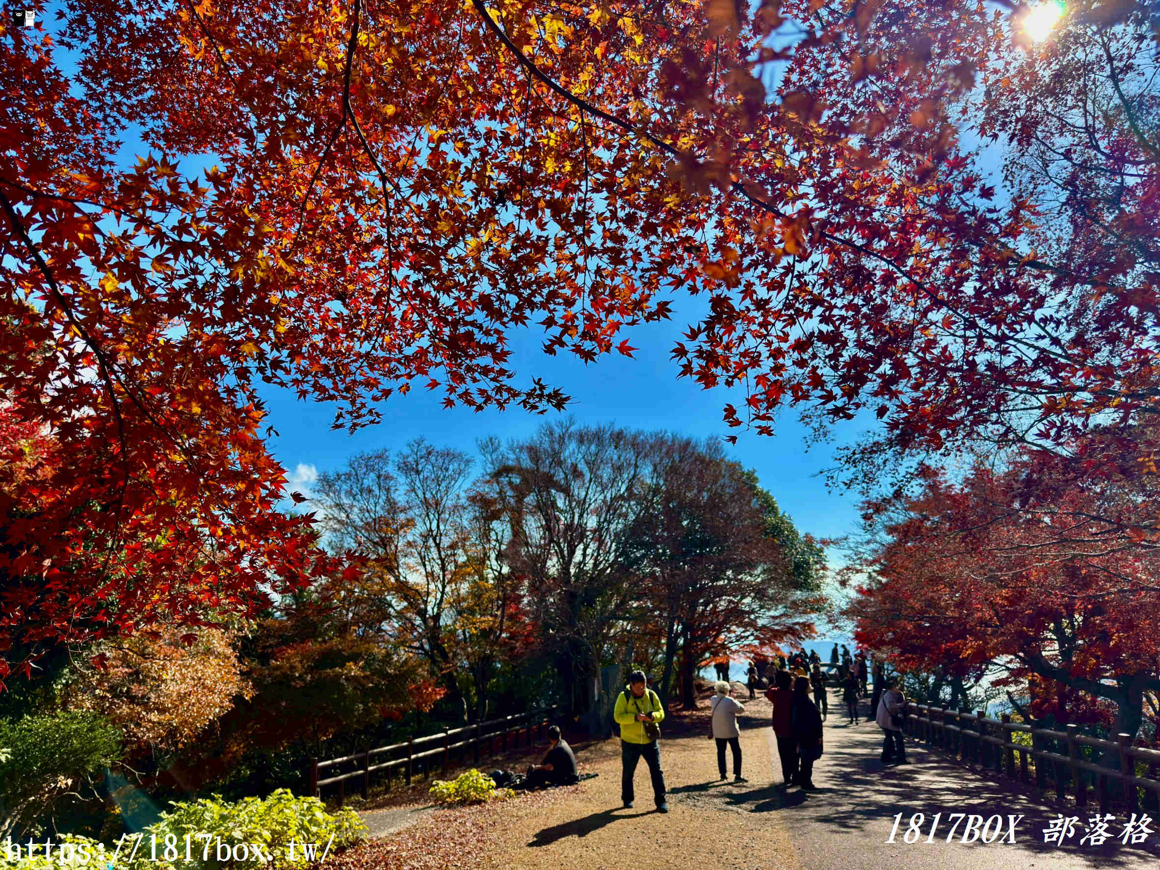 瀨戶內海的秋日絕色：小豆島「寒霞溪」楓紅漫天，搭乘空中纜車走進名畫裡！
