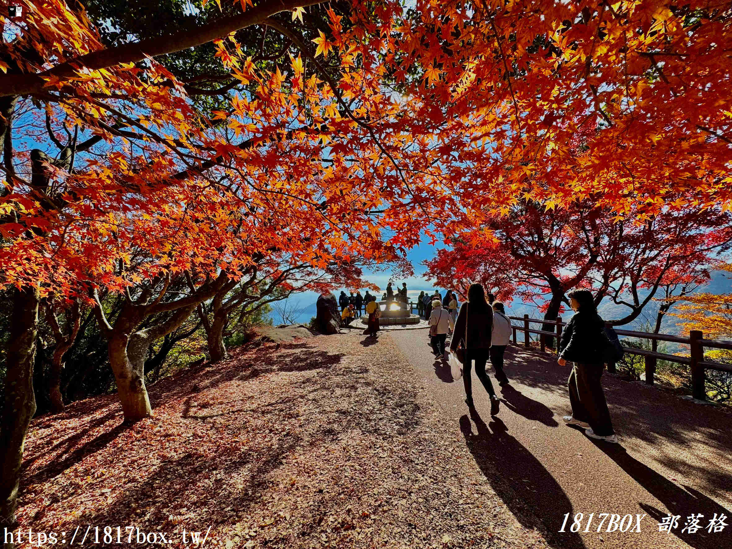 瀨戶內海的秋日絕色：小豆島「寒霞溪」楓紅漫天，搭乘空中纜車走進名畫裡！