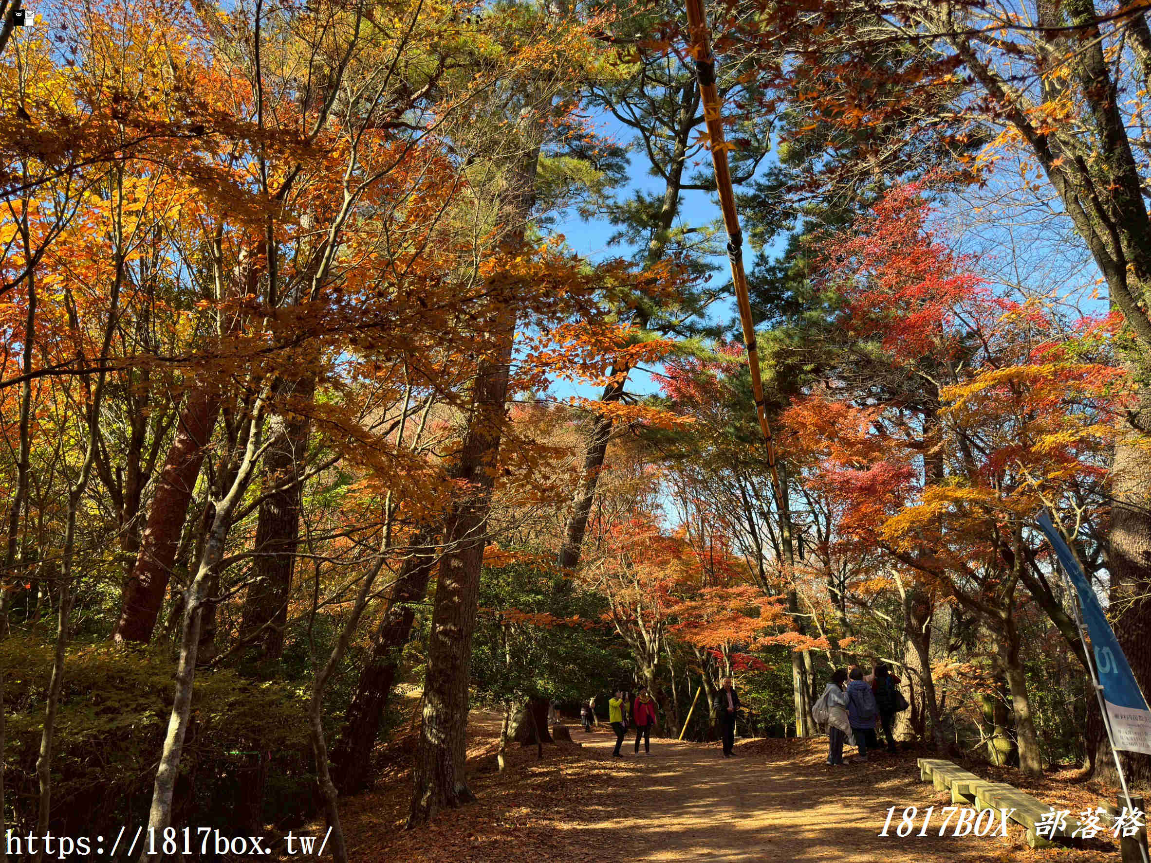 瀨戶內海的秋日絕色：小豆島「寒霞溪」楓紅漫天，搭乘空中纜車走進名畫裡！