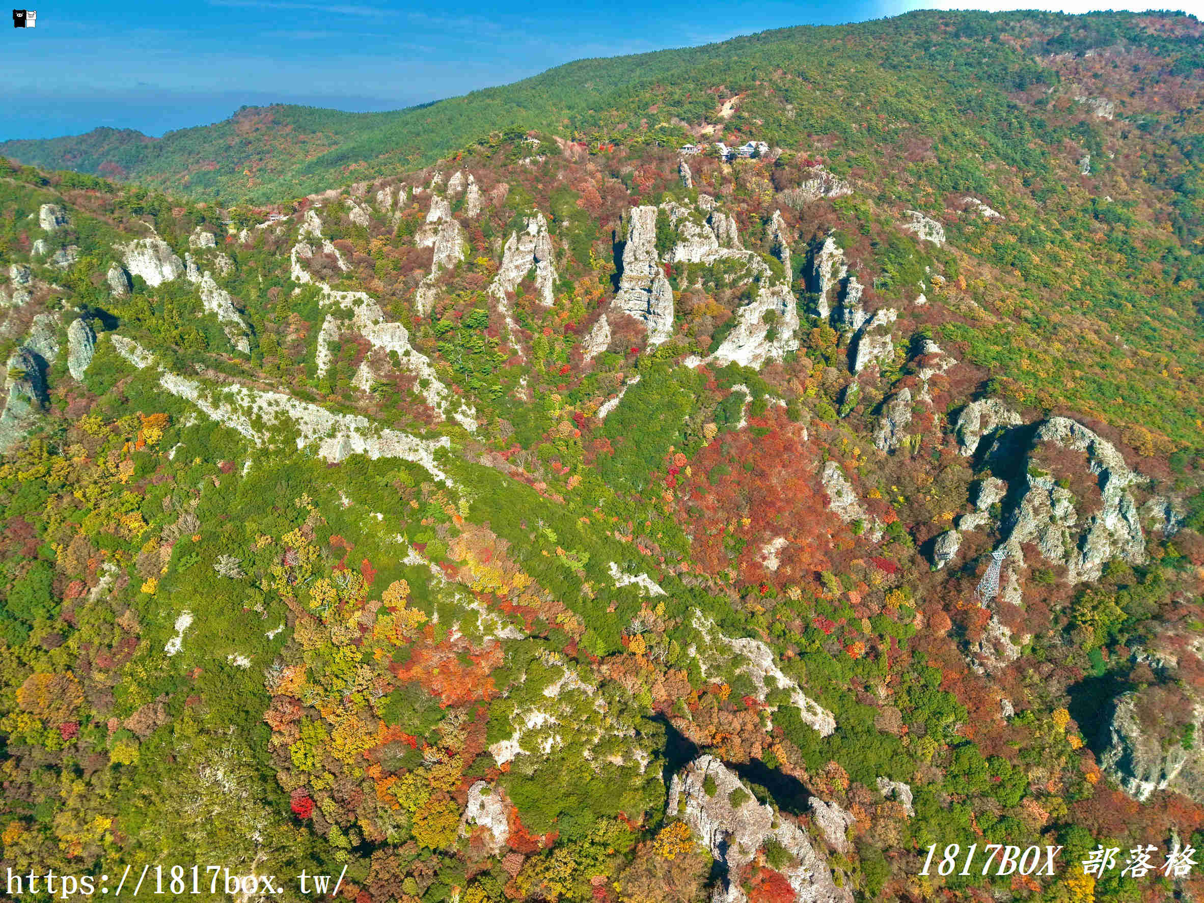 瀨戶內海的秋日絕色：小豆島「寒霞溪」楓紅漫天，搭乘空中纜車走進名畫裡！
