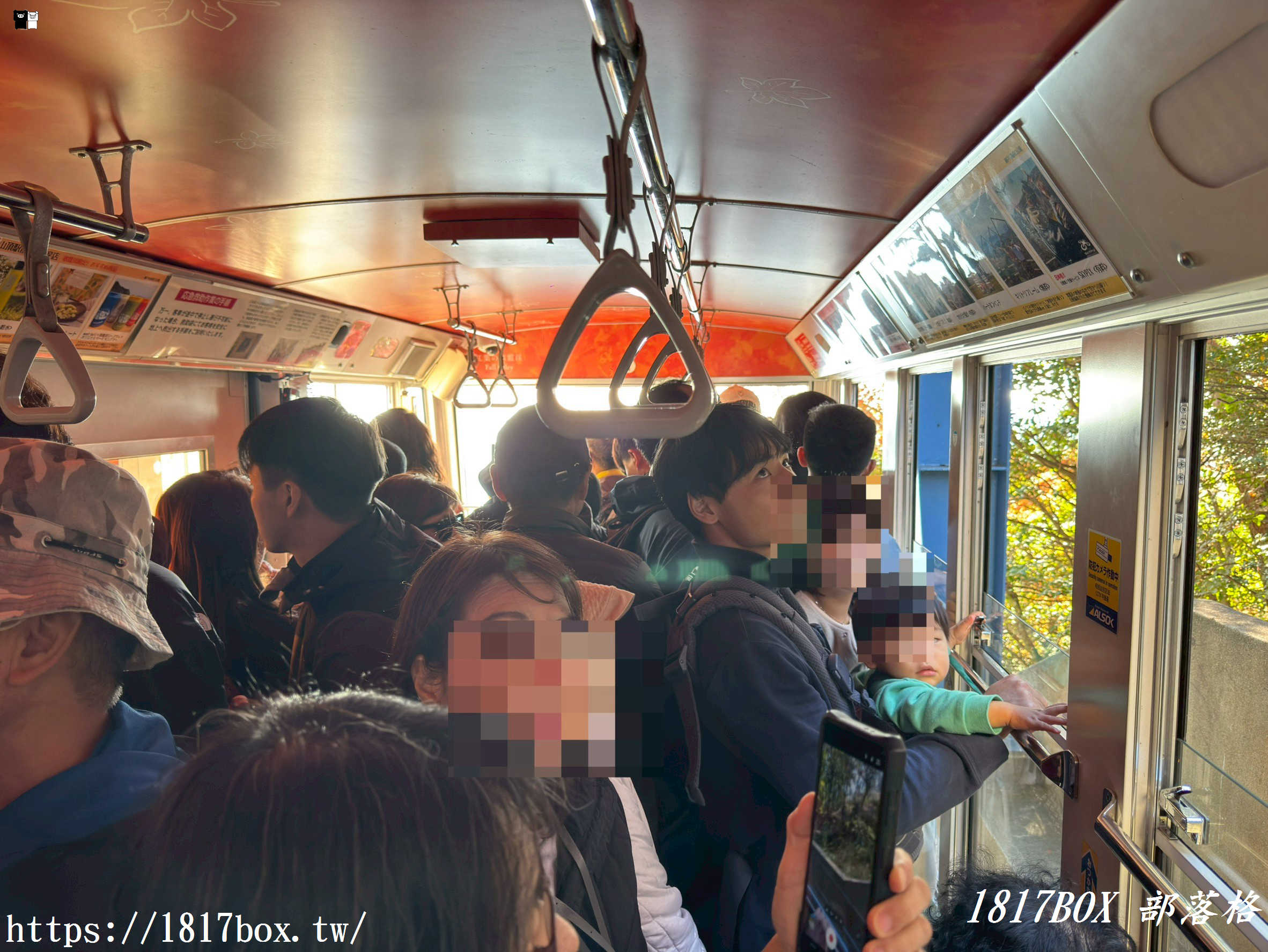 瀨戶內海的秋日絕色：小豆島「寒霞溪」楓紅漫天，搭乘空中纜車走進名畫裡！