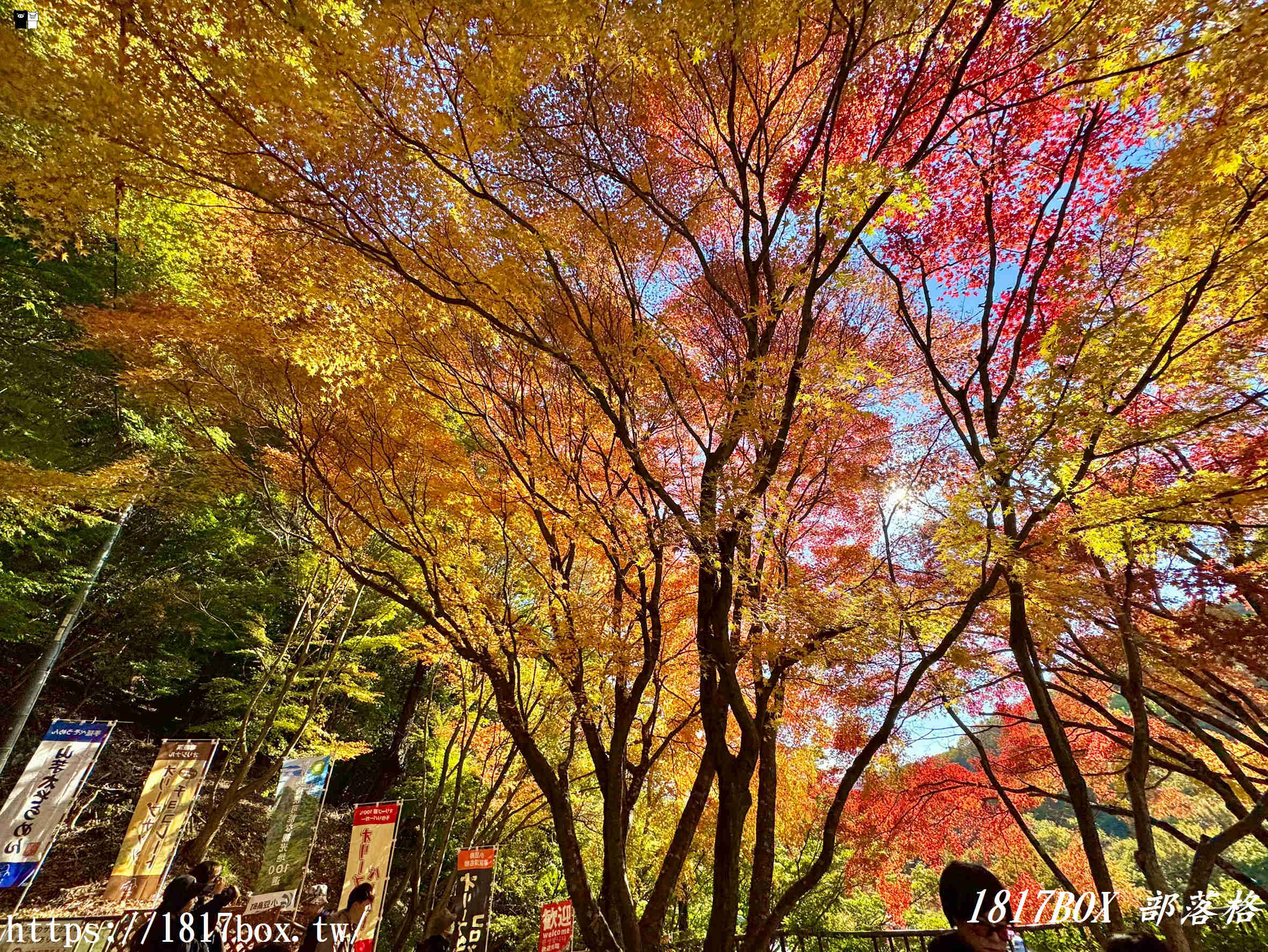 瀨戶內海的秋日絕色：小豆島「寒霞溪」楓紅漫天，搭乘空中纜車走進名畫裡！