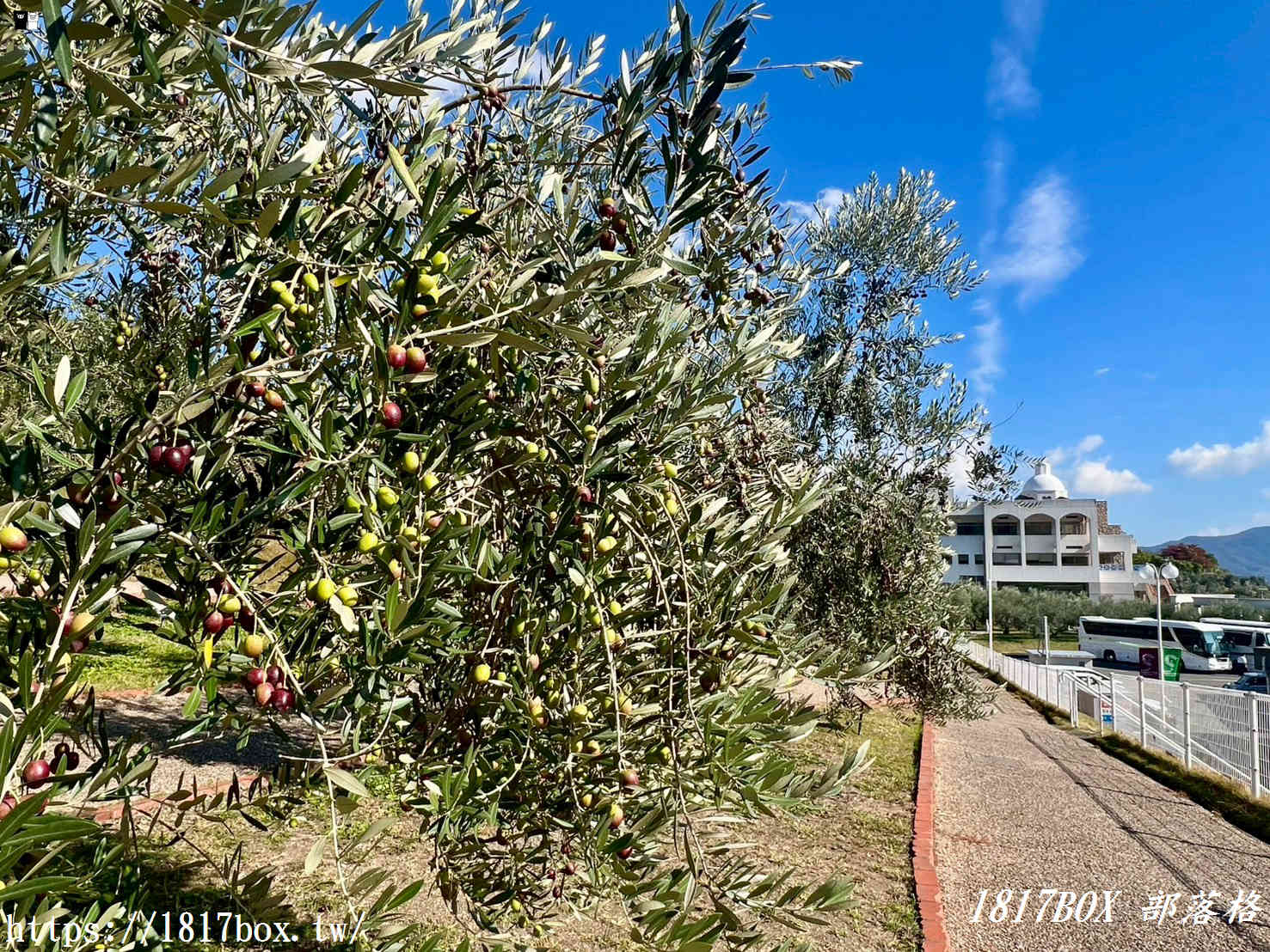 小豆島特色裝置：「巨大魔法書」、「任意門」魔法之扉一秒抵達任何想去的地方