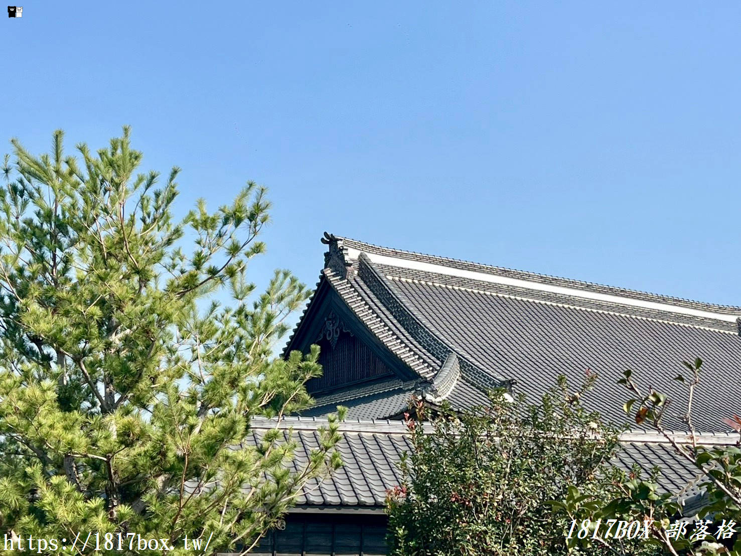 【南投市區散策】走進「南投縣文化園區」:全台首座武德殿歷史博物館,探尋南投陶與懷舊時光 【南投市區散策】走進「南投縣文化園區」:全台首座武德殿歷史博物館,探尋南投陶與懷舊時光