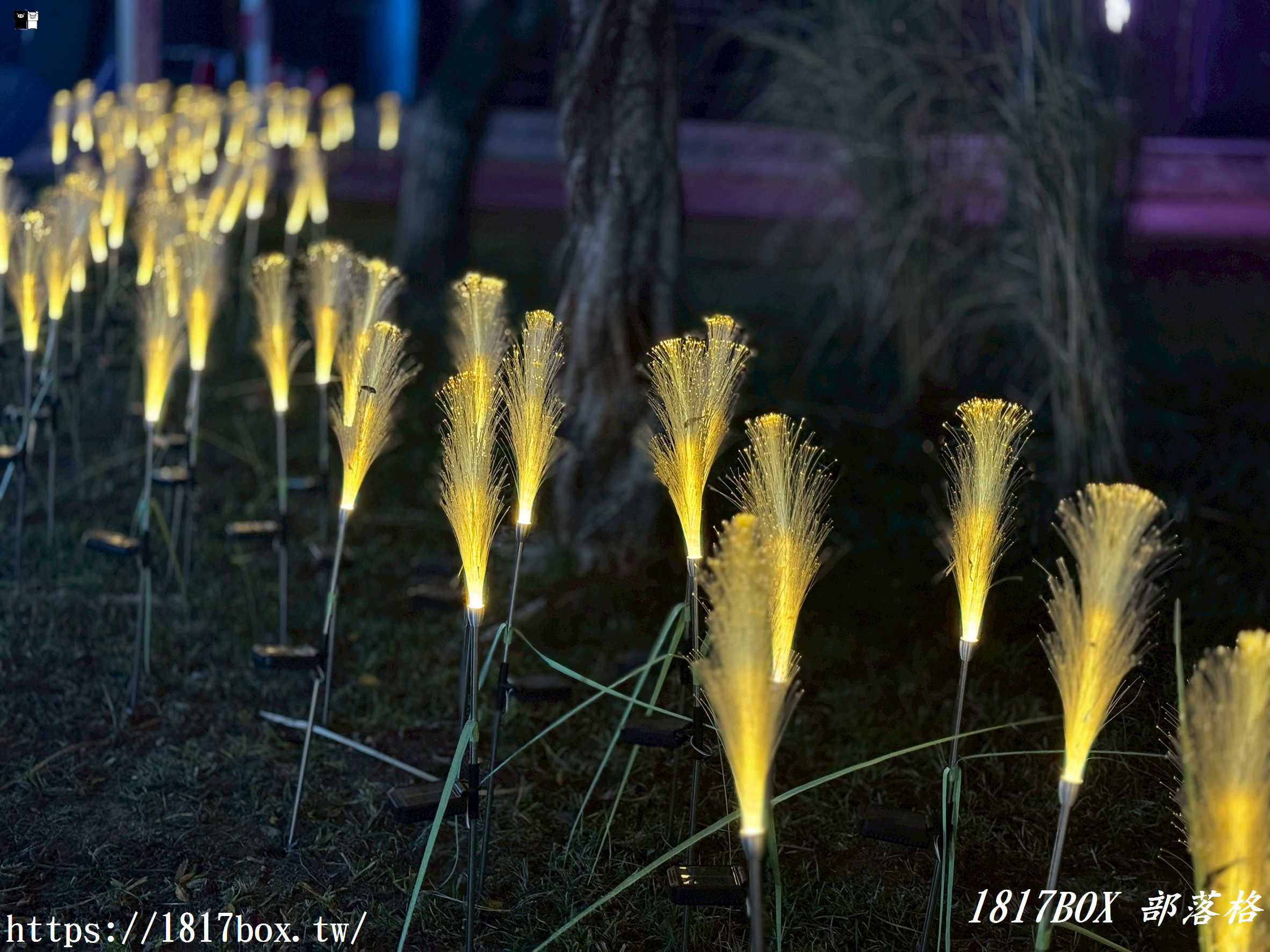 【台中燈會攻略】姆明降臨！2026中臺灣燈會「七大奇幻展區」開箱：走進極光下的童話森林！