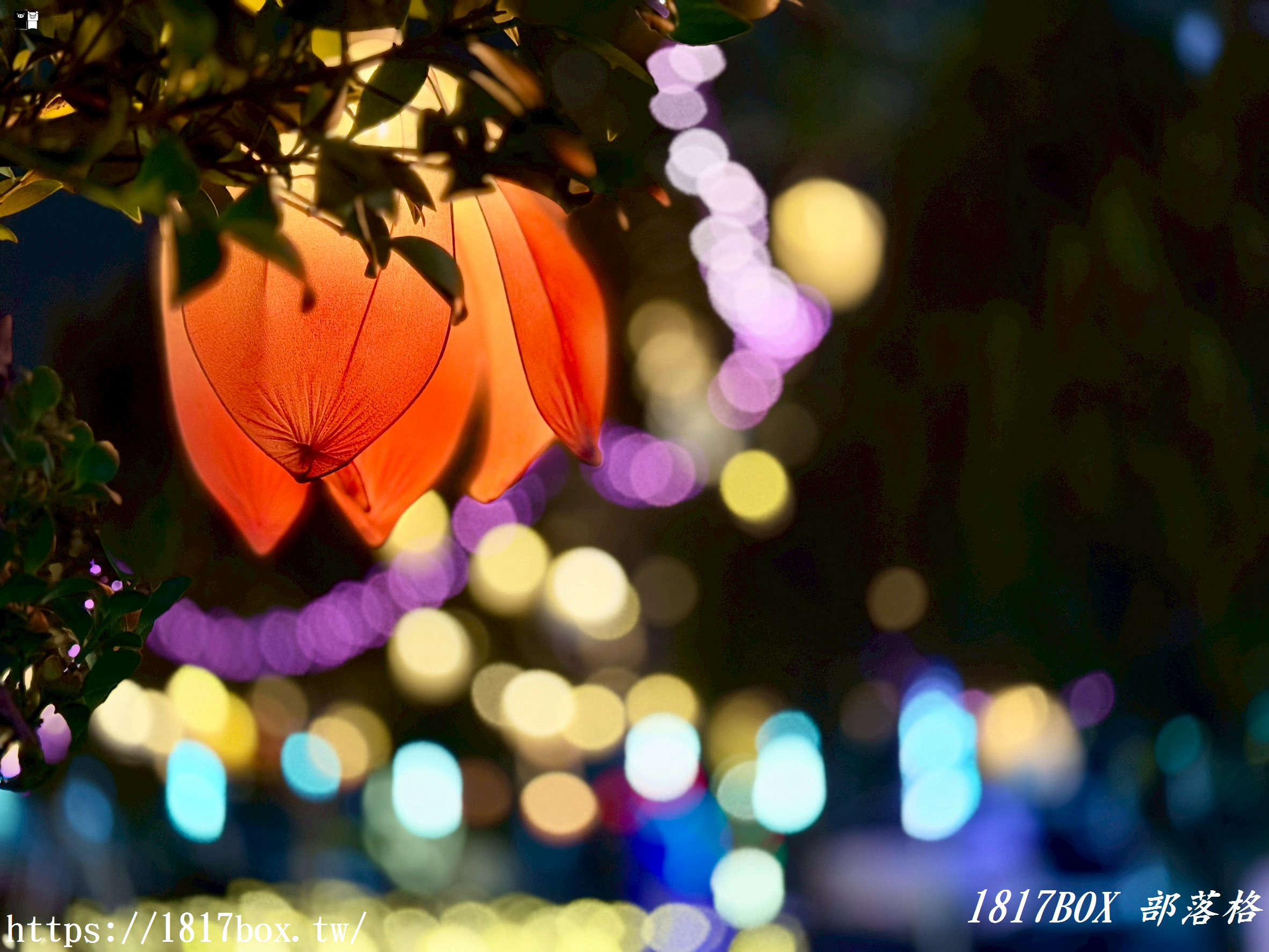 【台中燈會攻略】姆明降臨！2026中臺灣燈會「七大奇幻展區」開箱：走進極光下的童話森林！