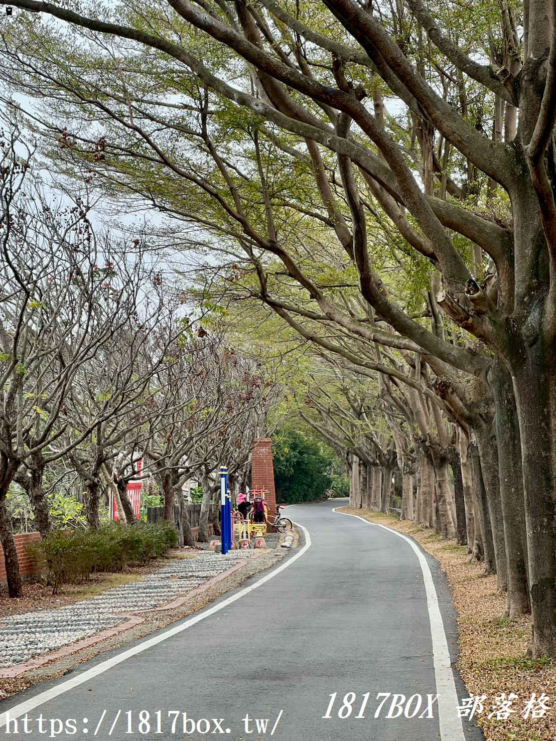 【彰化美食】花壇阿嬤ㄟ碗粿｜隱藏版古早味！必點靈魂「蝦米」芋頭粥與Q彈碗粿，在地人從小吃到大的家鄉味