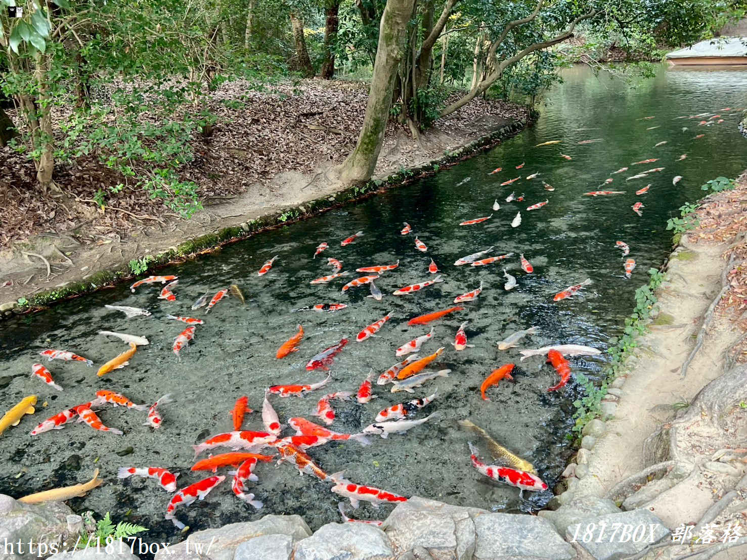 走進「一步一景」的浮世繪：高松栗林公園全攻略，不只是日本三大名園！