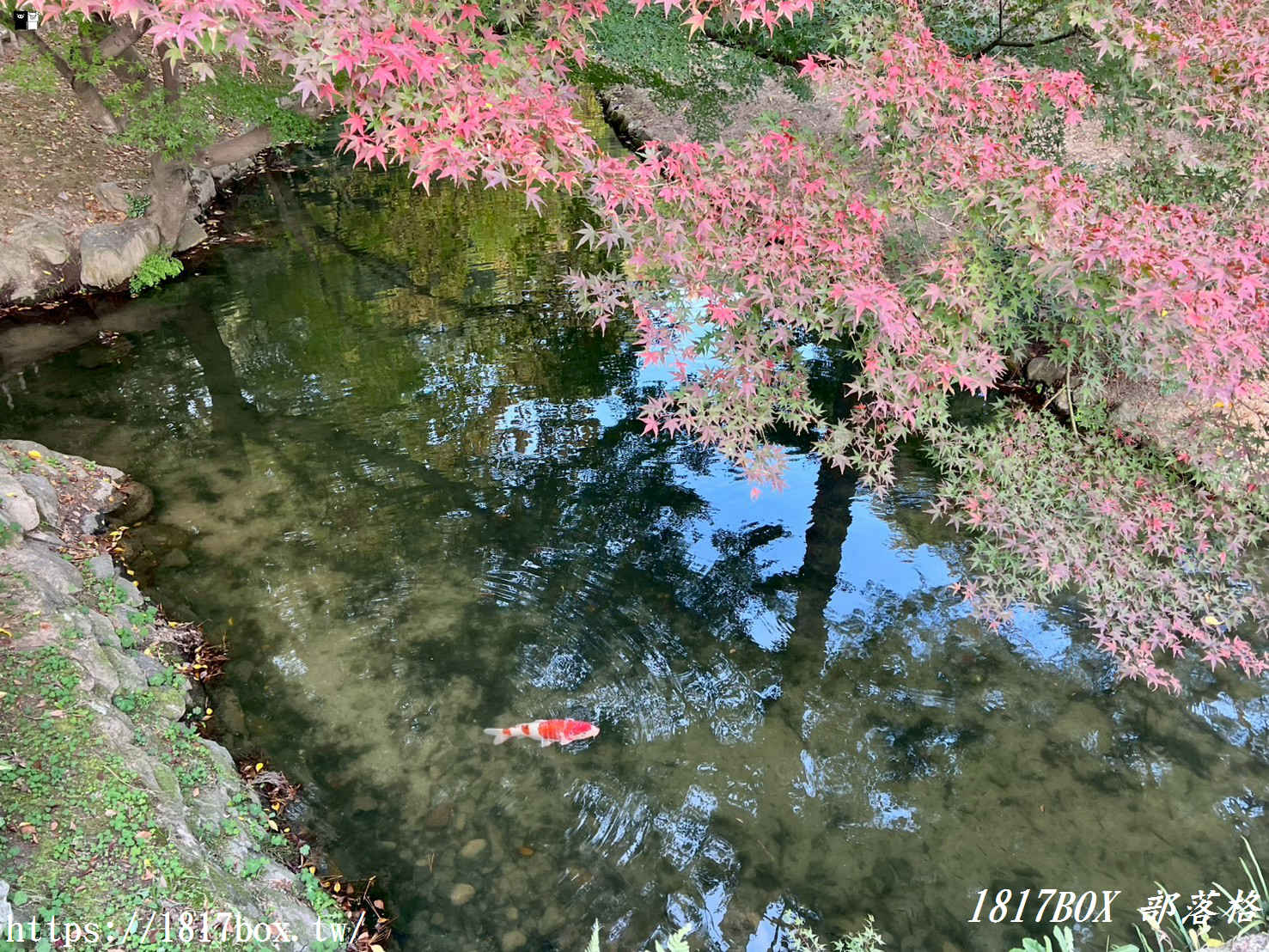 走進「一步一景」的浮世繪：高松栗林公園全攻略，不只是日本三大名園！