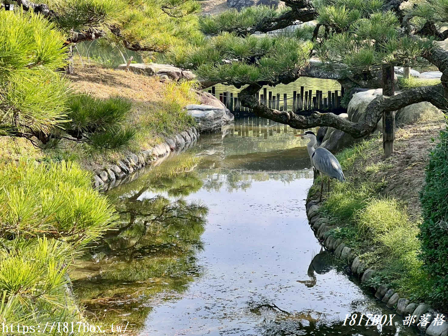 走進「一步一景」的浮世繪：高松栗林公園全攻略，不只是日本三大名園！