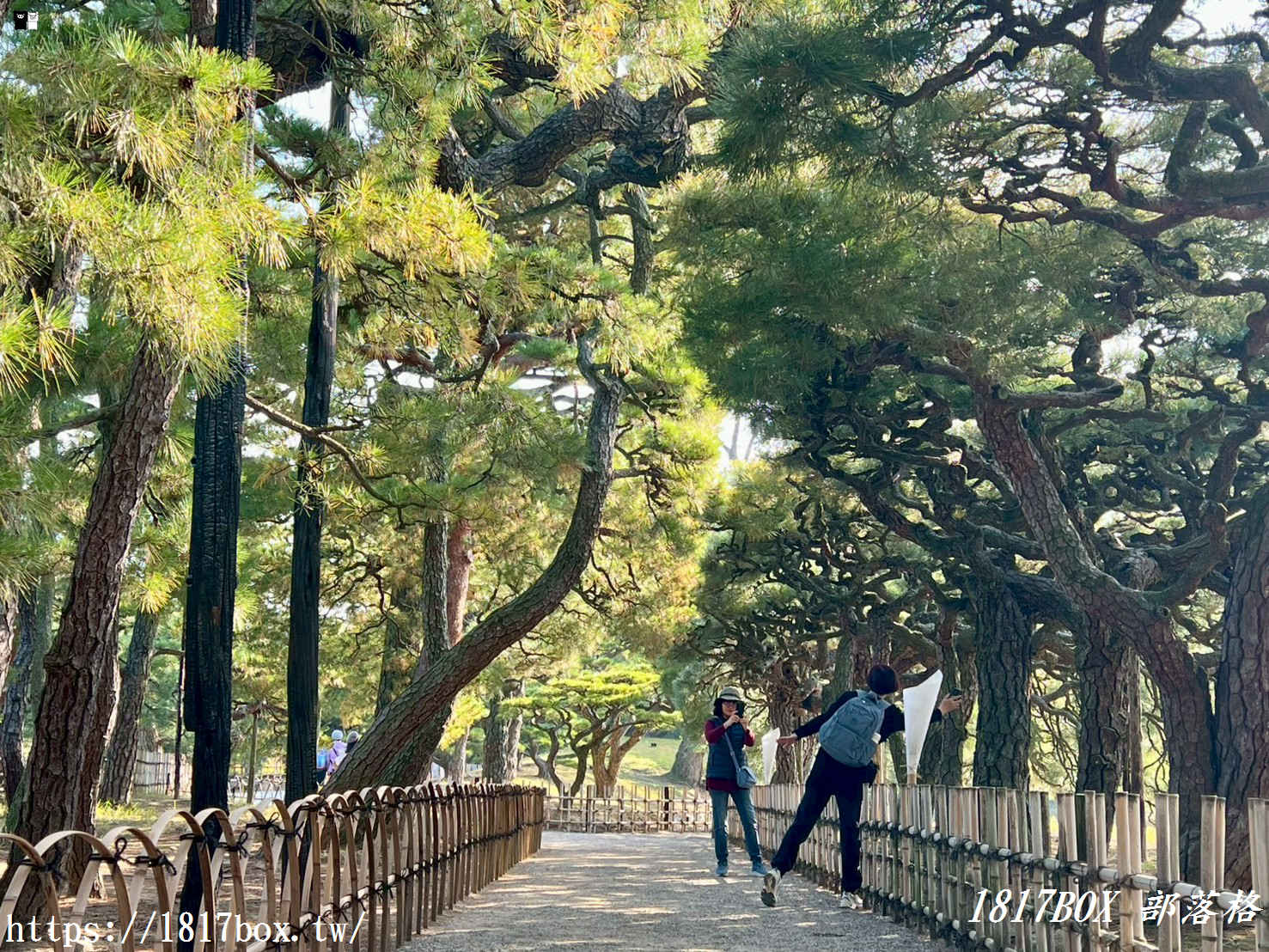 走進「一步一景」的浮世繪：高松栗林公園全攻略，不只是日本三大名園！