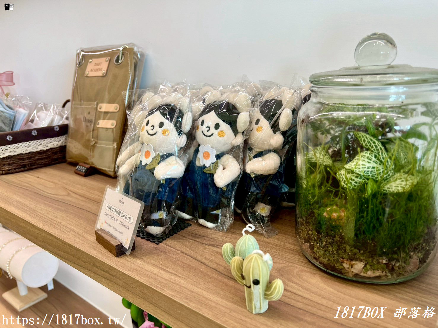 【彰化探店】掉進莫內花園的錯覺！小雛菊藝術學校：這家「誠實小花店」美到讓人想住下