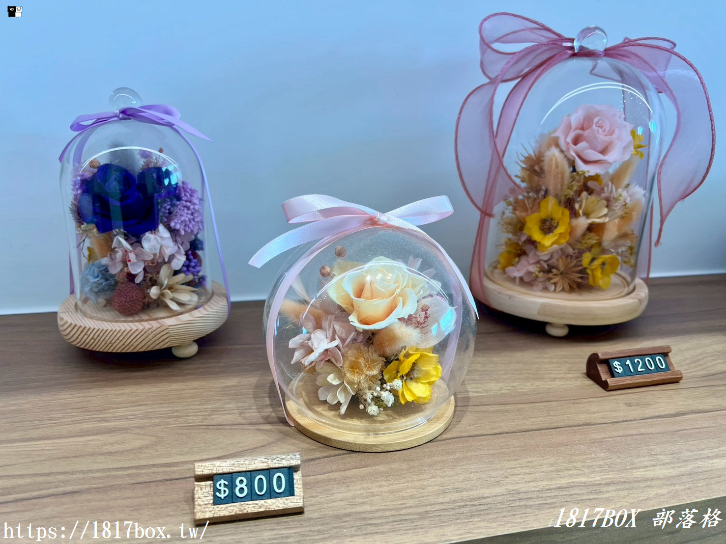 【彰化探店】掉進莫內花園的錯覺！小雛菊藝術學校：這家「誠實小花店」美到讓人想住下