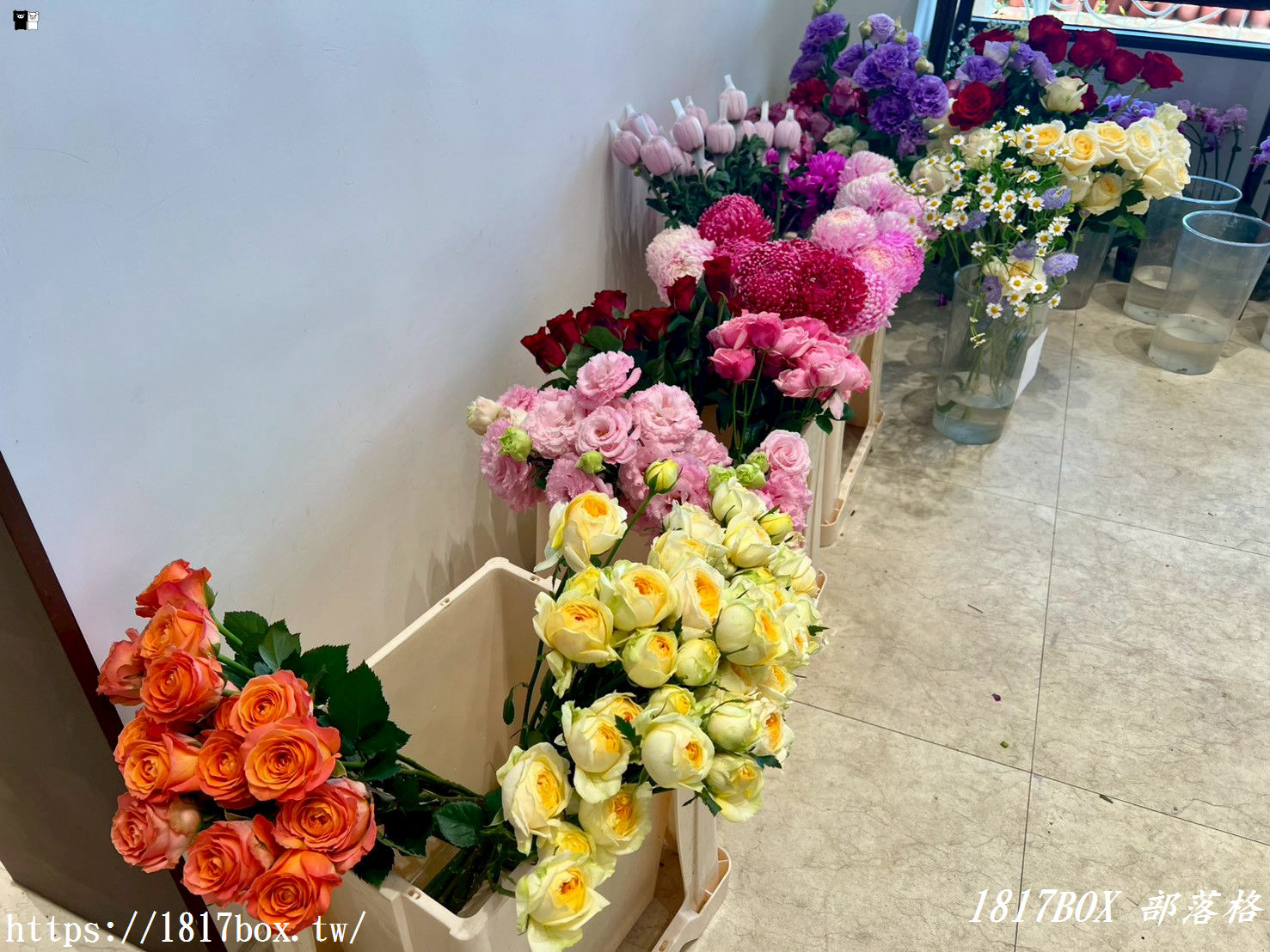 【彰化探店】掉進莫內花園的錯覺！小雛菊藝術學校：這家「誠實小花店」美到讓人想住下