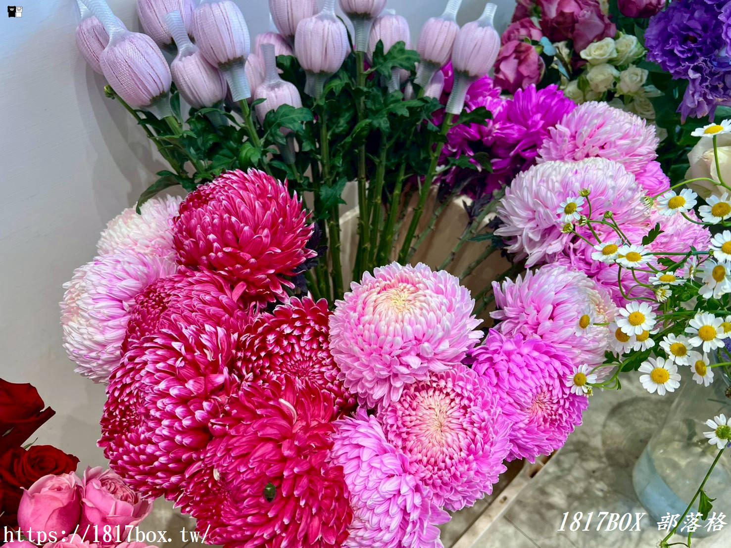 【彰化探店】掉進莫內花園的錯覺！小雛菊藝術學校：這家「誠實小花店」美到讓人想住下