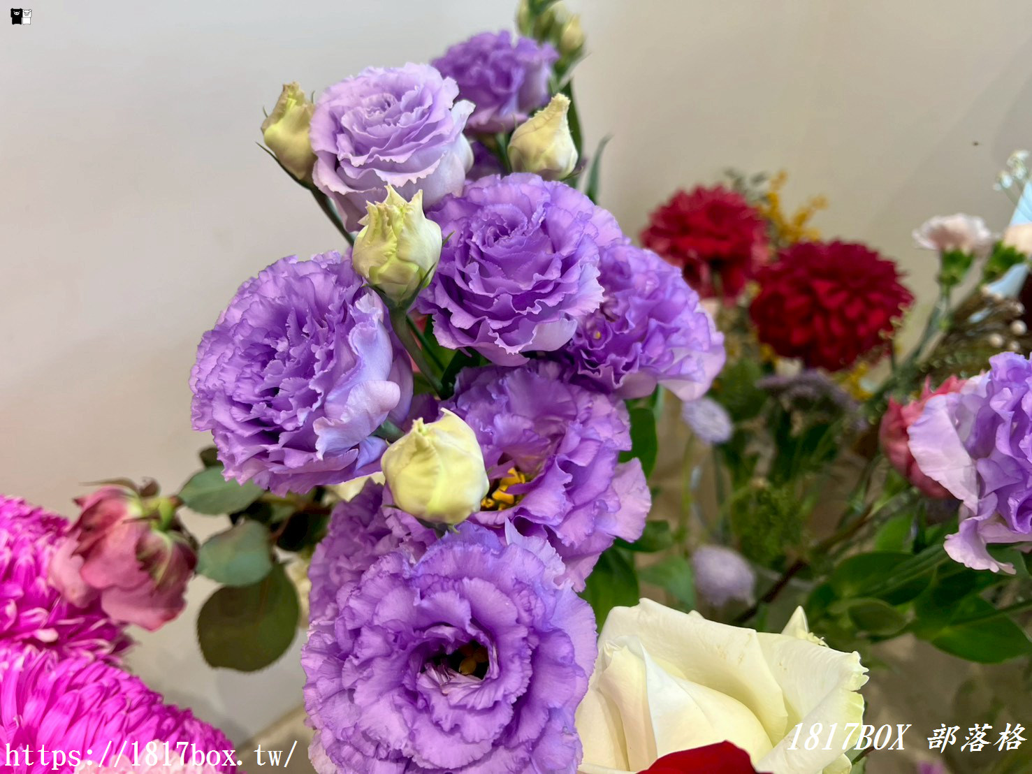 【彰化探店】掉進莫內花園的錯覺！小雛菊藝術學校：這家「誠實小花店」美到讓人想住下