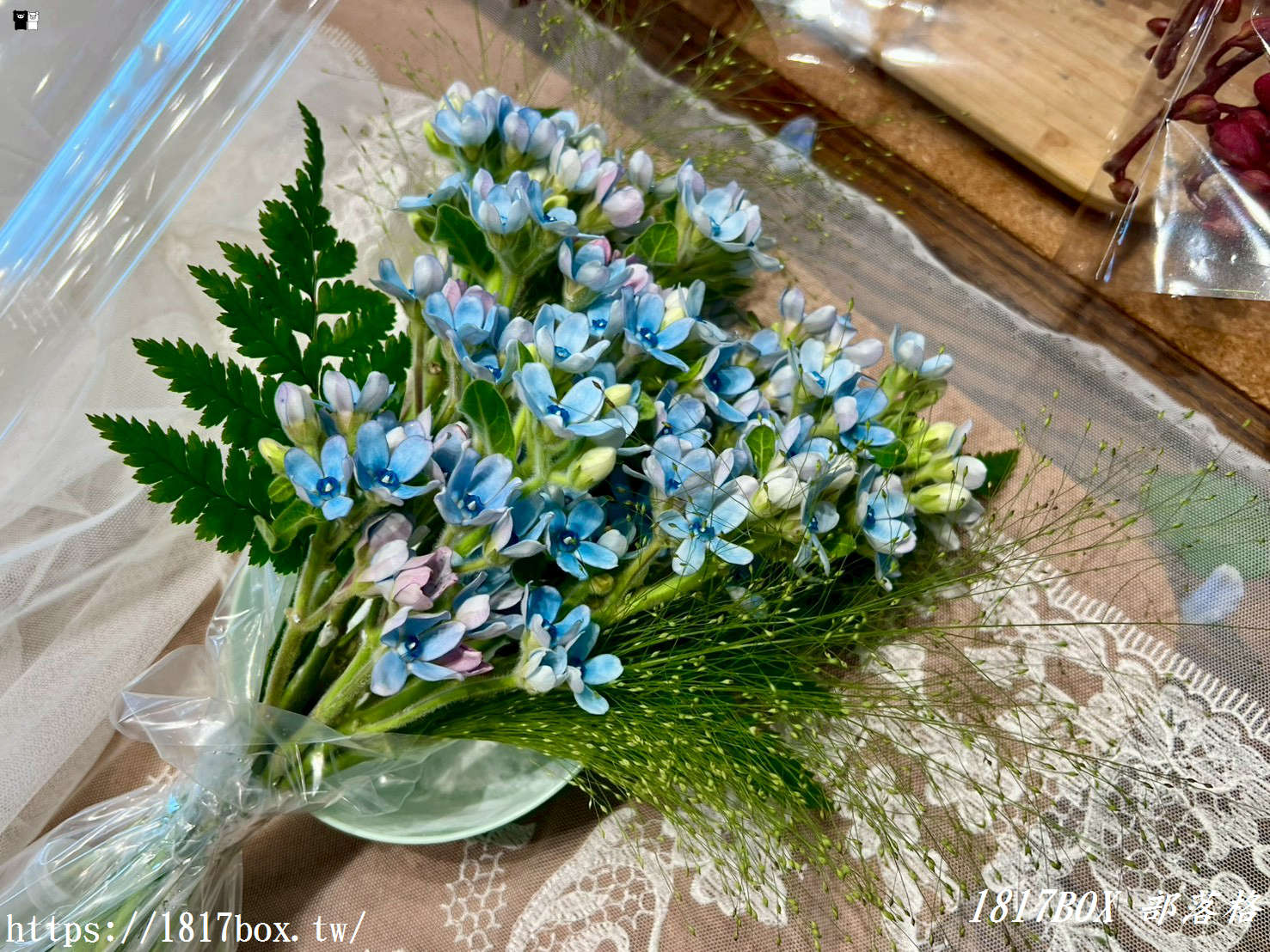 【彰化探店】掉進莫內花園的錯覺！小雛菊藝術學校：這家「誠實小花店」美到讓人想住下