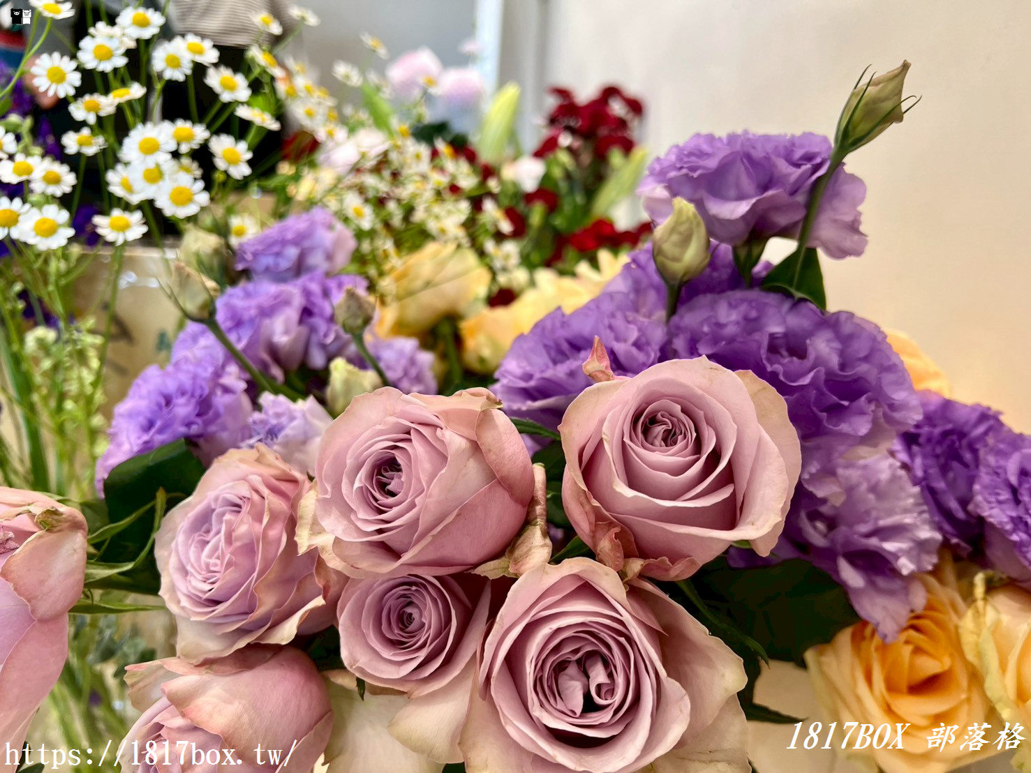 【彰化探店】掉進莫內花園的錯覺！小雛菊藝術學校：這家「誠實小花店」美到讓人想住下