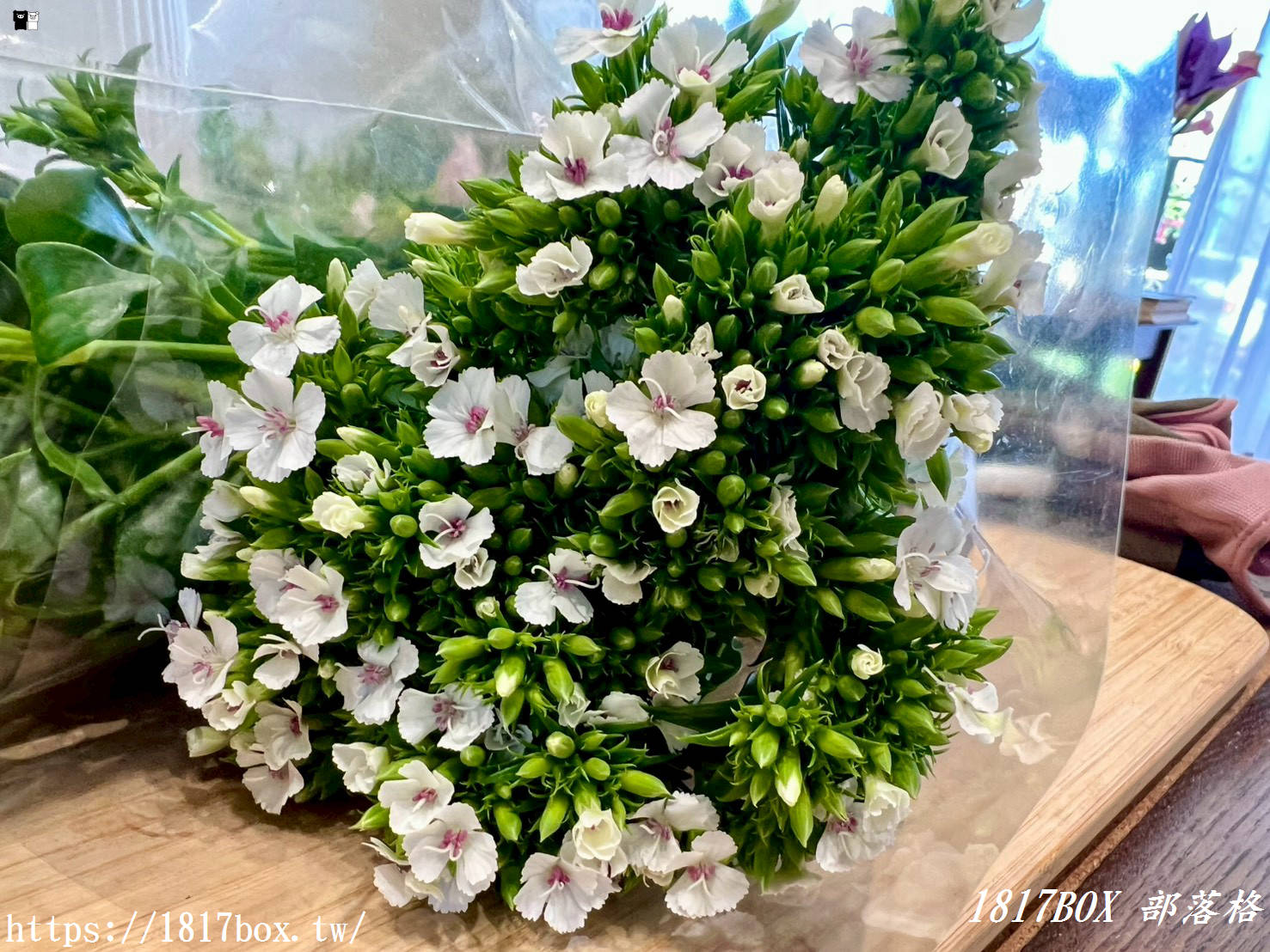 【彰化探店】掉進莫內花園的錯覺！小雛菊藝術學校：這家「誠實小花店」美到讓人想住下