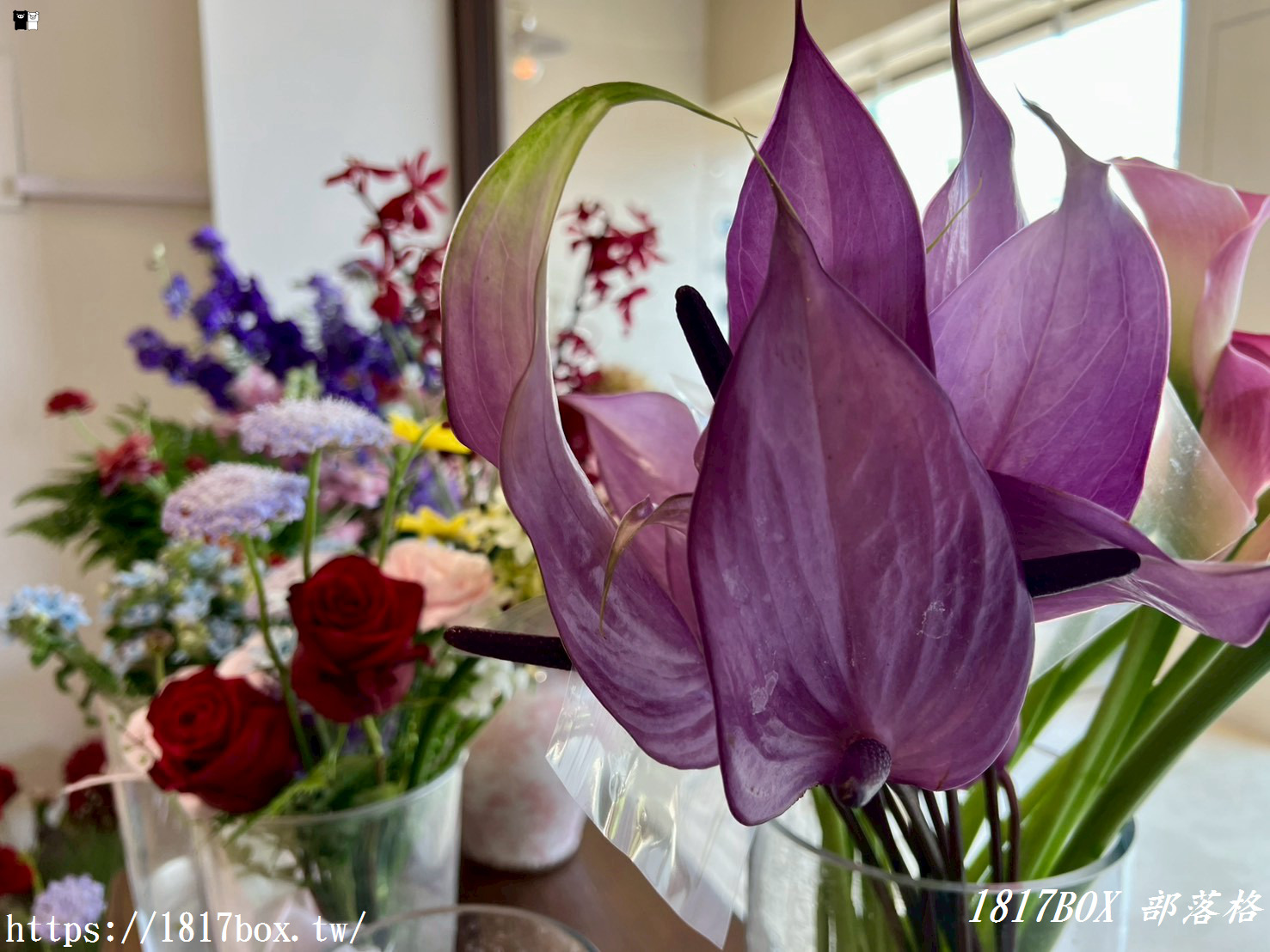 【彰化探店】掉進莫內花園的錯覺！小雛菊藝術學校：這家「誠實小花店」美到讓人想住下