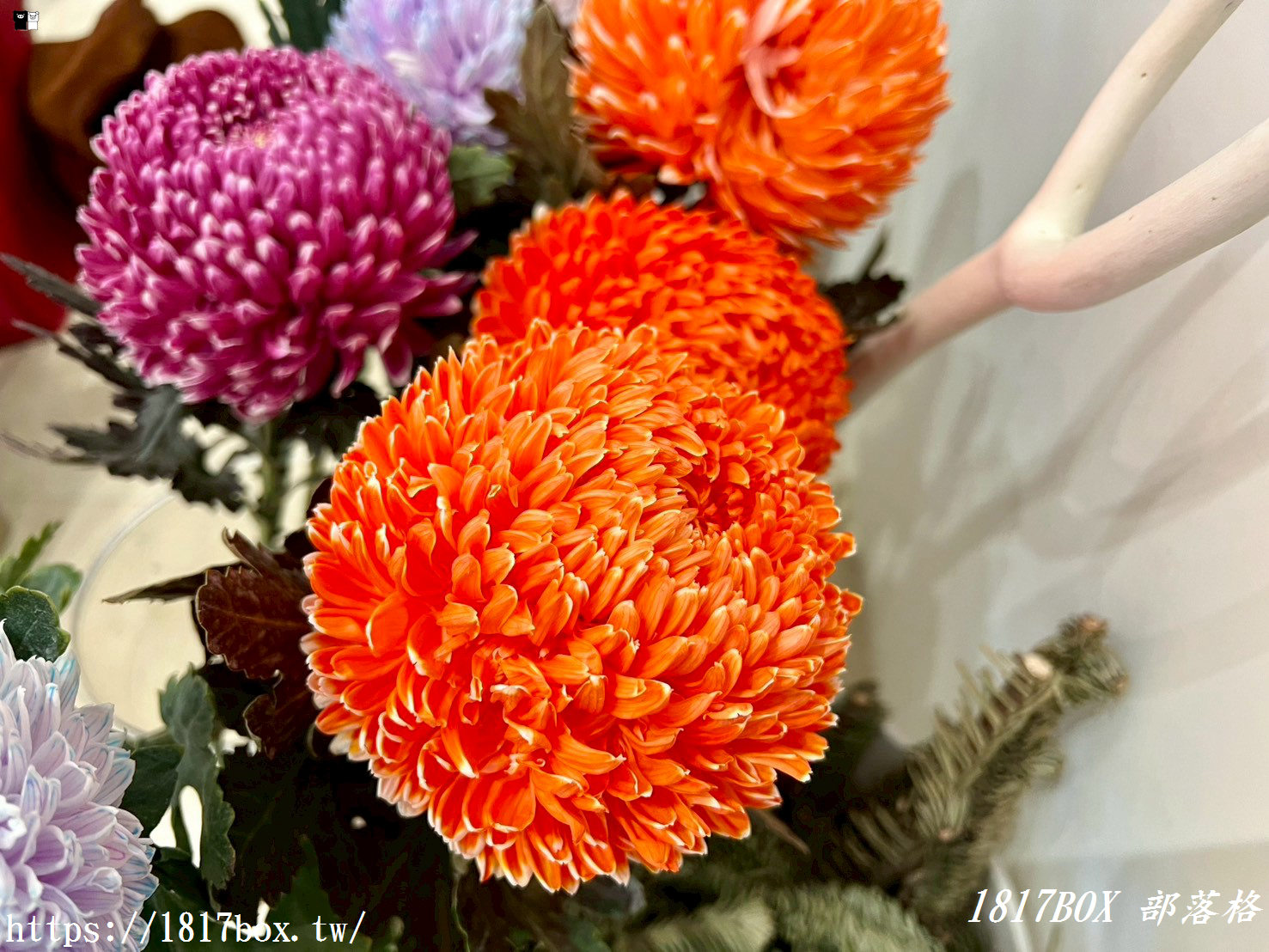 【彰化探店】掉進莫內花園的錯覺！小雛菊藝術學校：這家「誠實小花店」美到讓人想住下