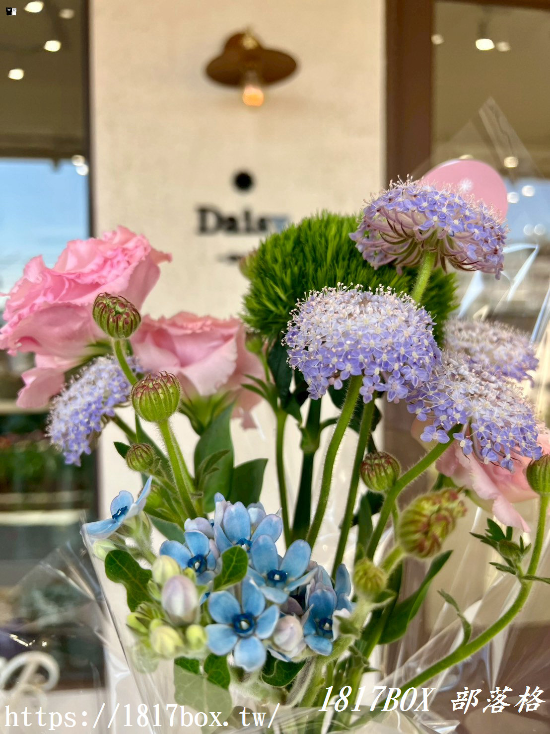 【彰化探店】掉進莫內花園的錯覺！小雛菊藝術學校：這家「誠實小花店」美到讓人想住下