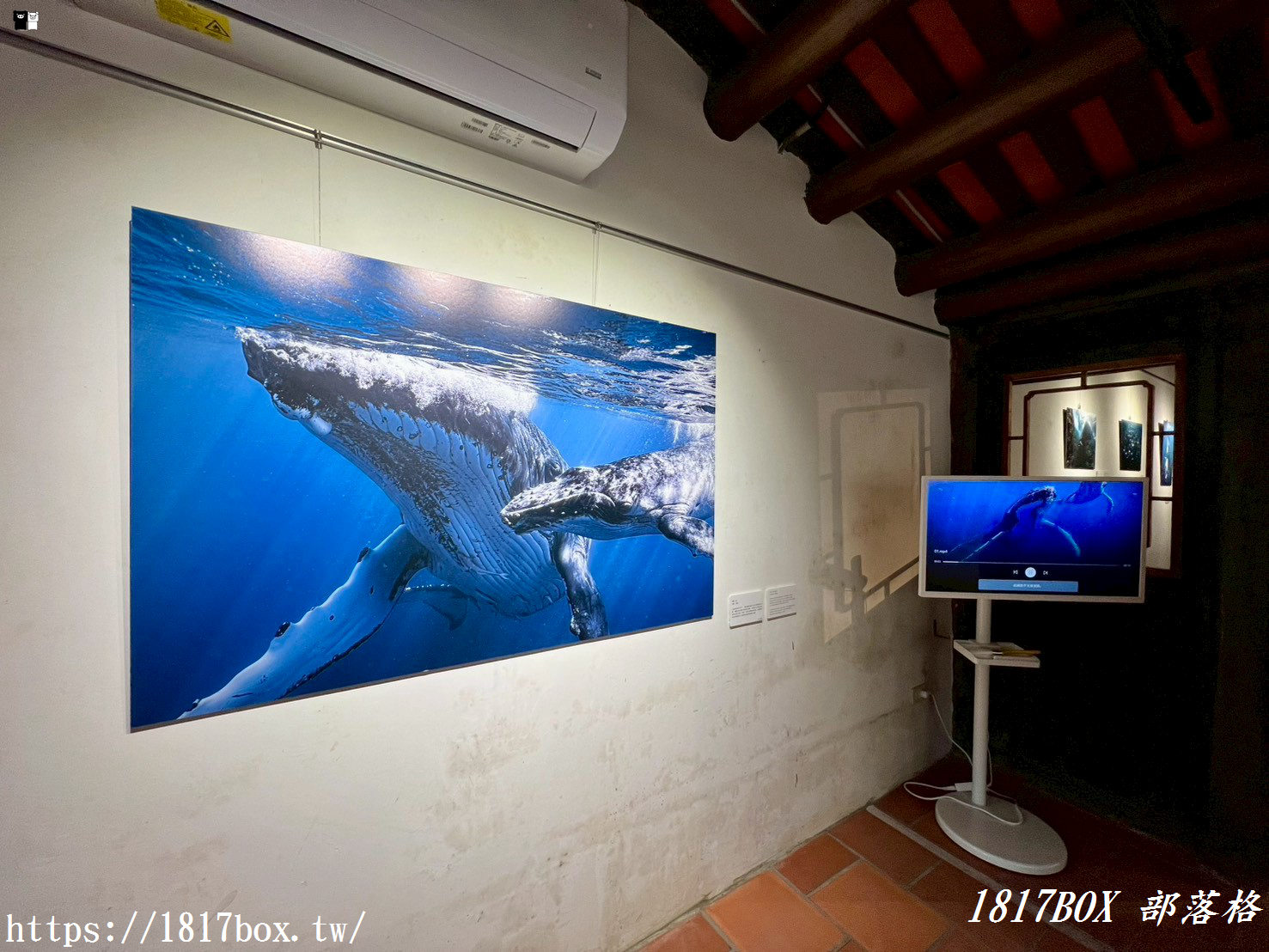 鹿港老宅咖啡推薦｜東北季風 Monsoon coffee：在 160 年古厝邂逅員林盃手沖冠軍，品味玉珍齋聯名午茶