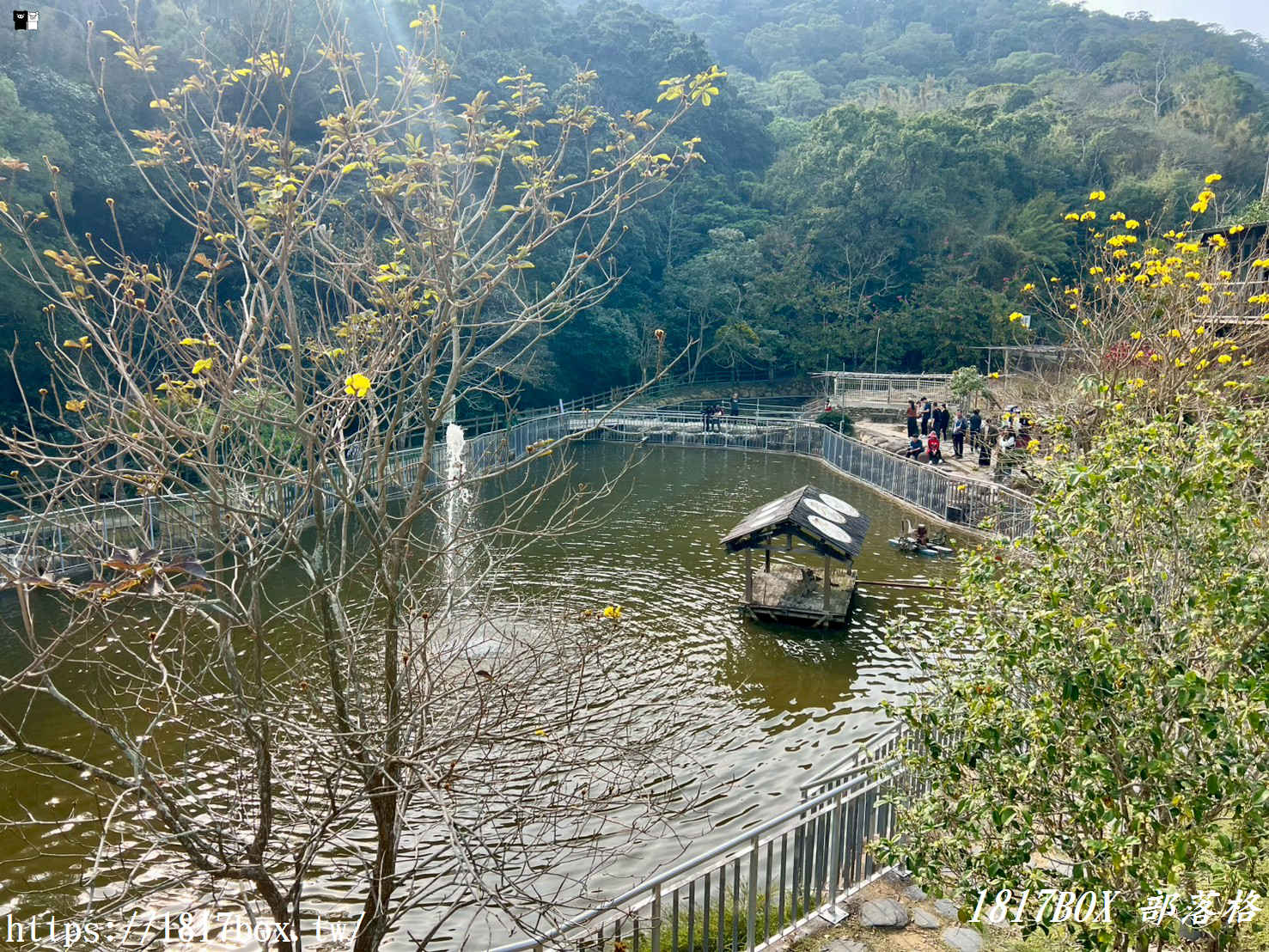 【新竹周邊一日遊】九芎湖「鴛鴦池」：走進森林系祕境步道，感受湖光山色的靜謐時光