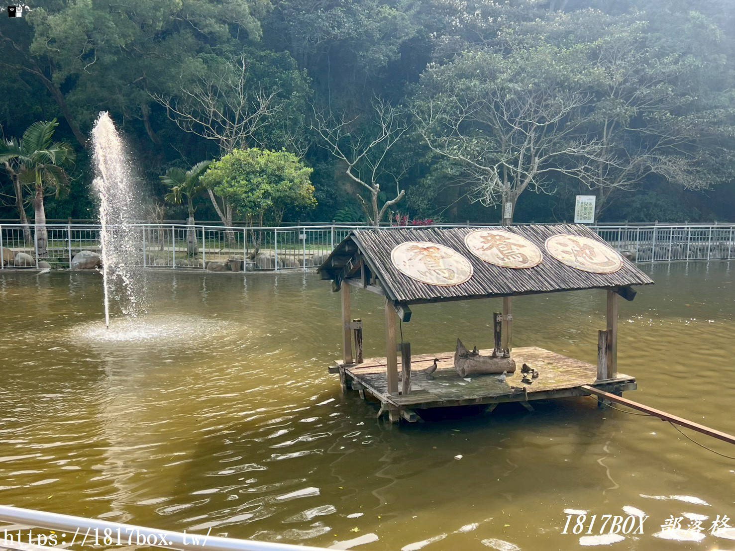 【新竹周邊一日遊】九芎湖「鴛鴦池」：走進森林系祕境步道，感受湖光山色的靜謐時光