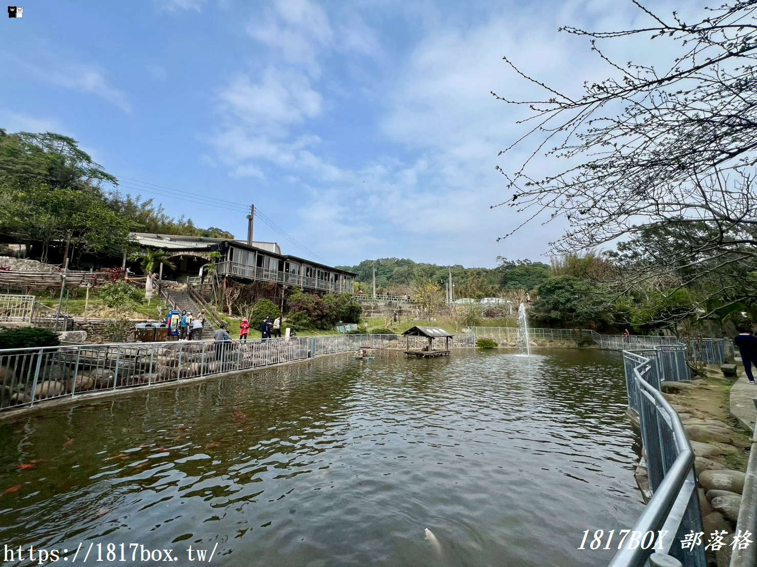 【新竹周邊一日遊】九芎湖「鴛鴦池」：走進森林系祕境步道，感受湖光山色的靜謐時光