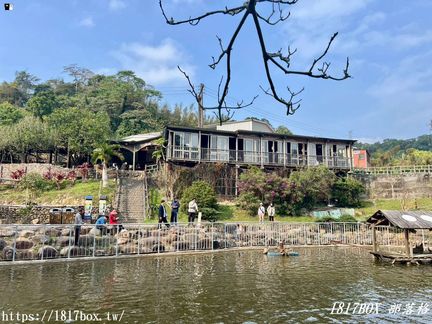 【新竹周邊一日遊】九芎湖「鴛鴦池」：走進森林系祕境步道，感受湖光山色的靜謐時光