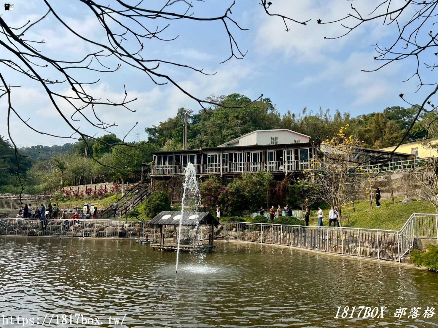 【新竹周邊一日遊】九芎湖「鴛鴦池」：走進森林系祕境步道，感受湖光山色的靜謐時光