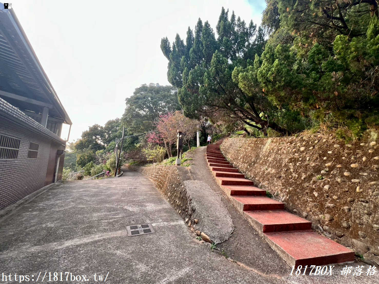 【新竹新埔祕境】日本公園「顯伯公」：浪漫櫻花彩繪階梯、百年梅樹，俯瞰小鎮日落與義勇廟巡禮