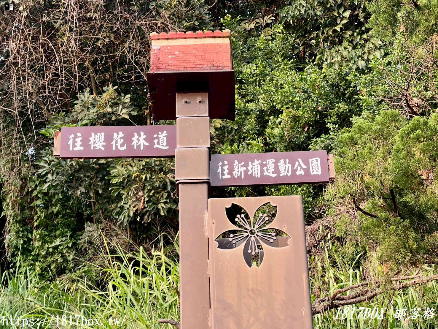 【新竹新埔祕境】日本公園「顯伯公」：浪漫櫻花彩繪階梯、百年梅樹，俯瞰小鎮日落與義勇廟巡禮